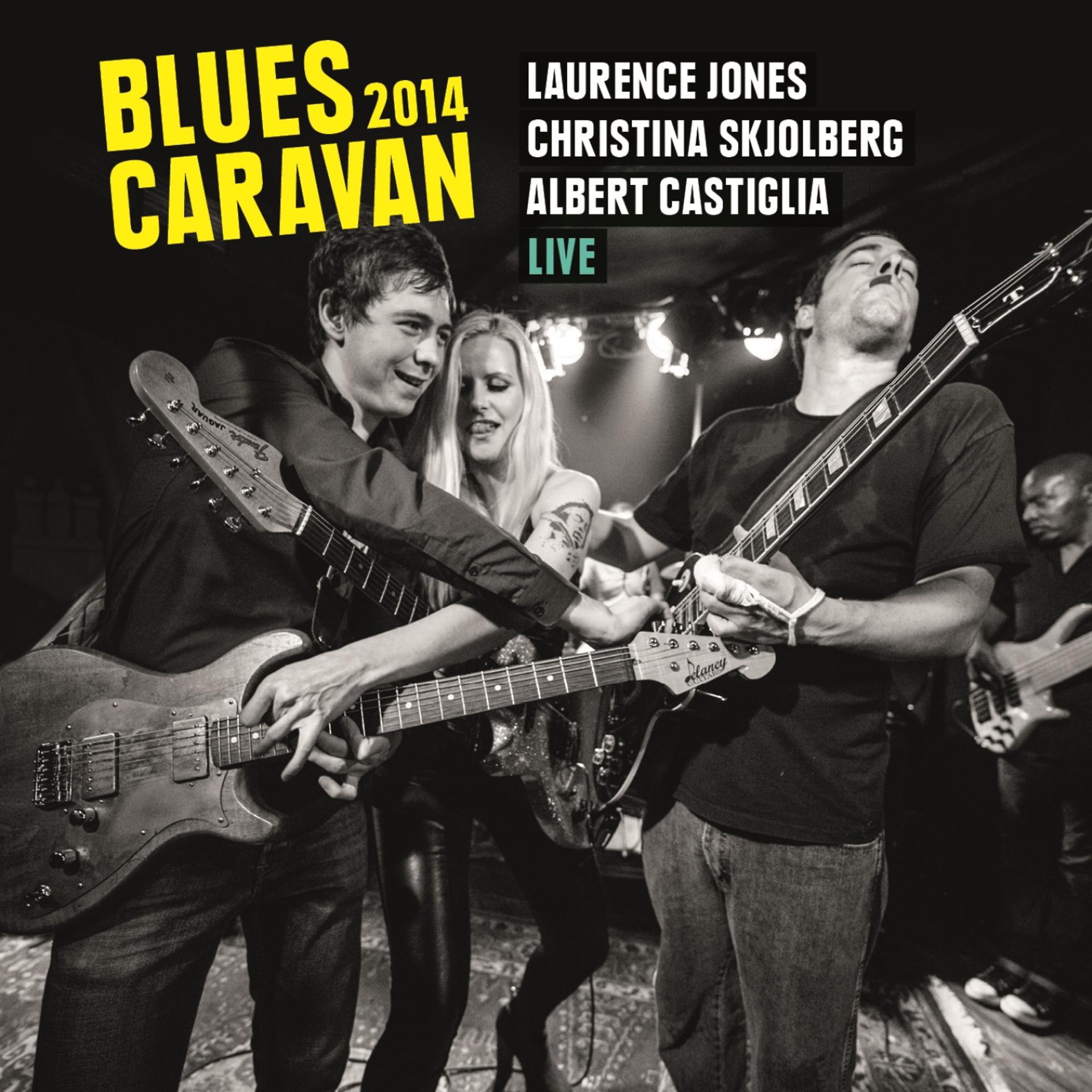 Постер альбома Blues Caravan 2014