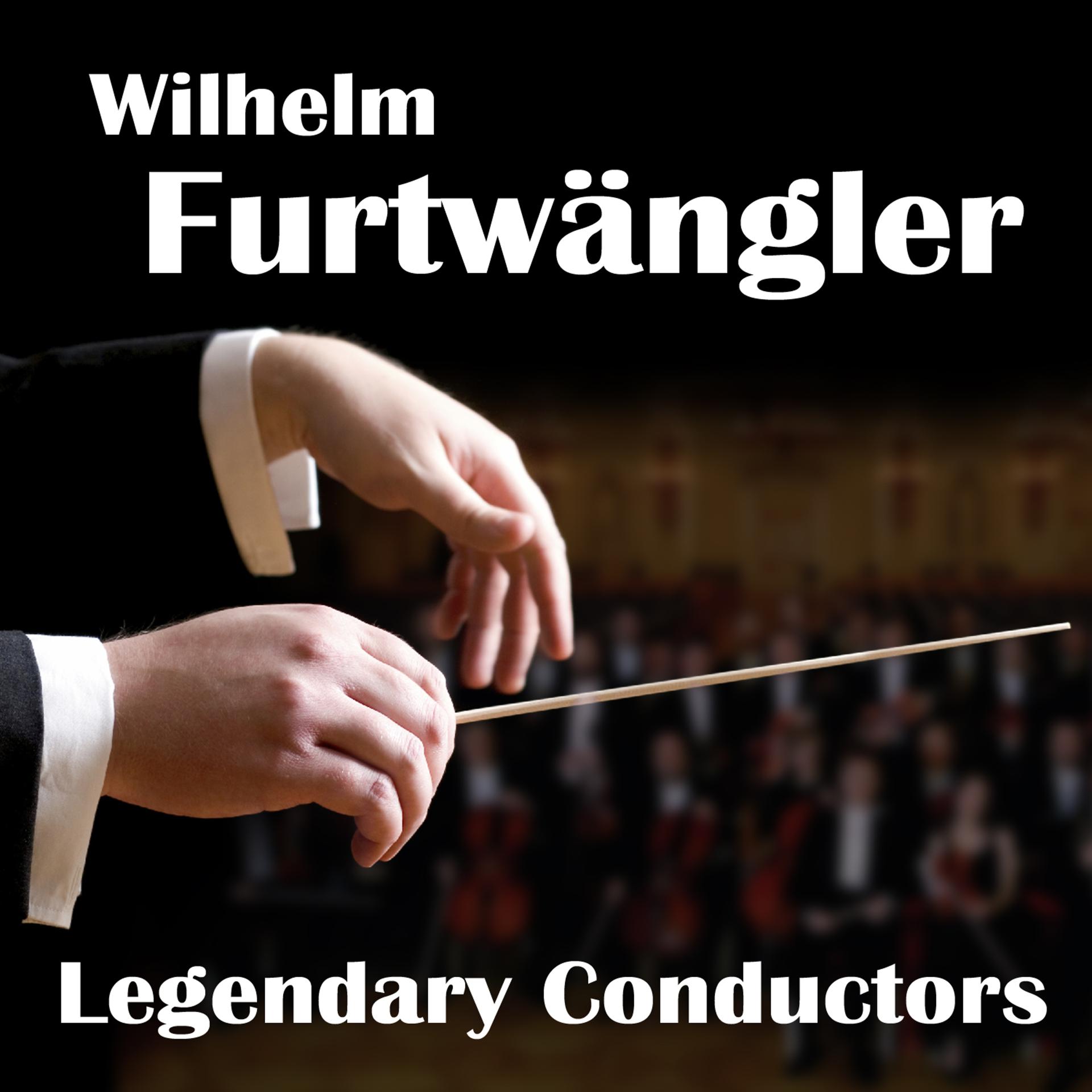 Постер альбома Legendary Conductors