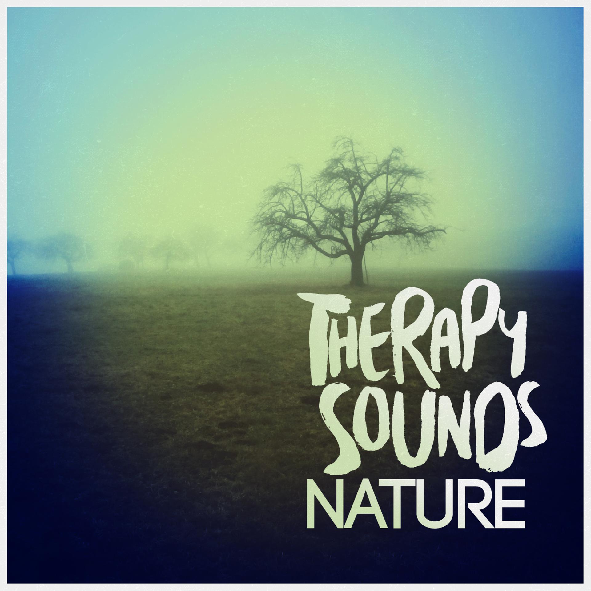 Постер альбома Therapy Sounds: Nature