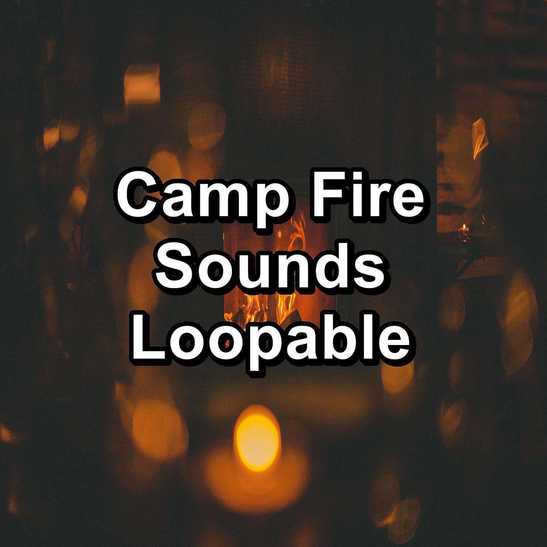 Постер альбома Camp Fire Sounds Loopable