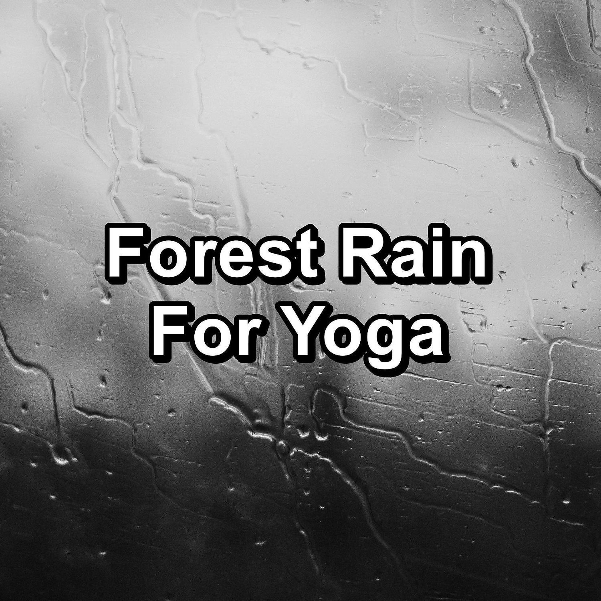 Постер альбома Forest Rain For Yoga