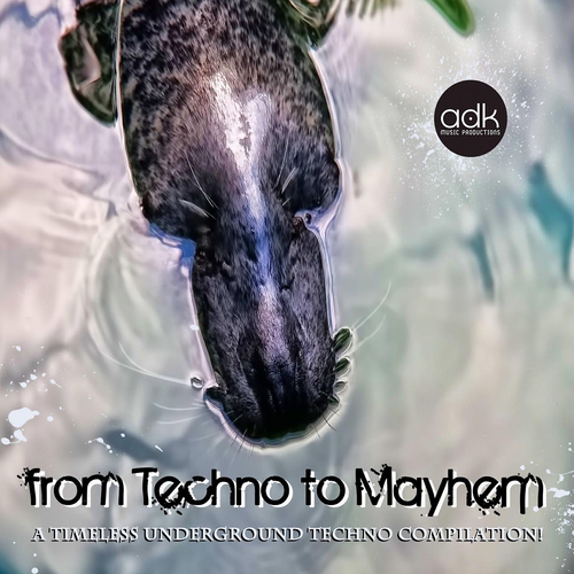 Постер альбома From Techno to Mayhem
