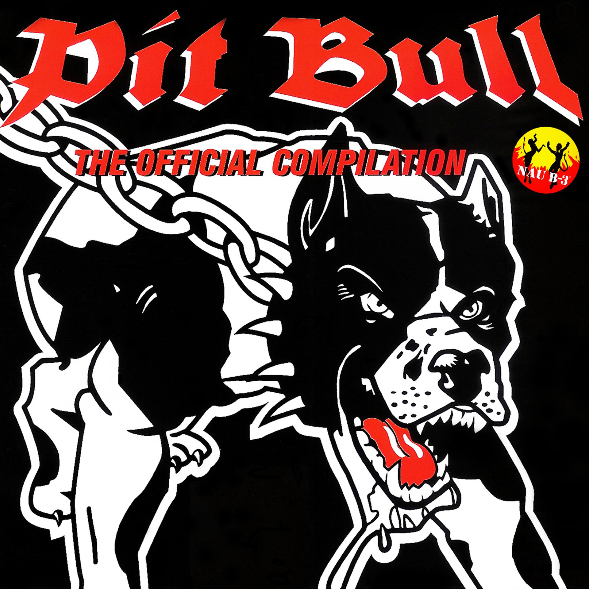 Постер альбома Nau B-3 Presents Pit Bull the Official Compilation