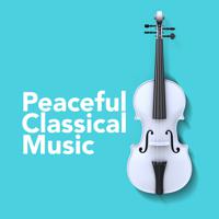 Постер альбома Peaceful Classical Music