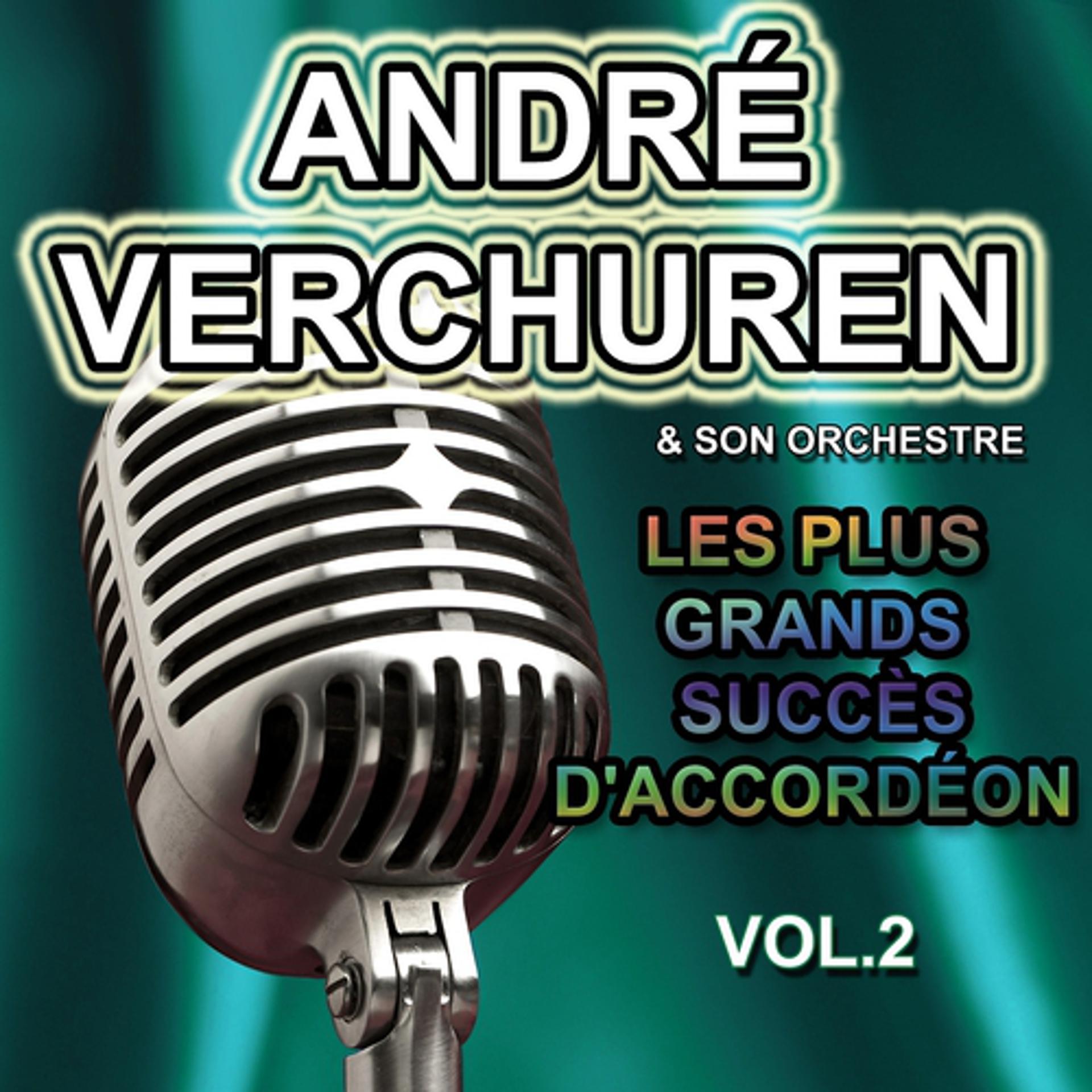 Постер альбома Les plus grands succès d'accordéon, vol. 2