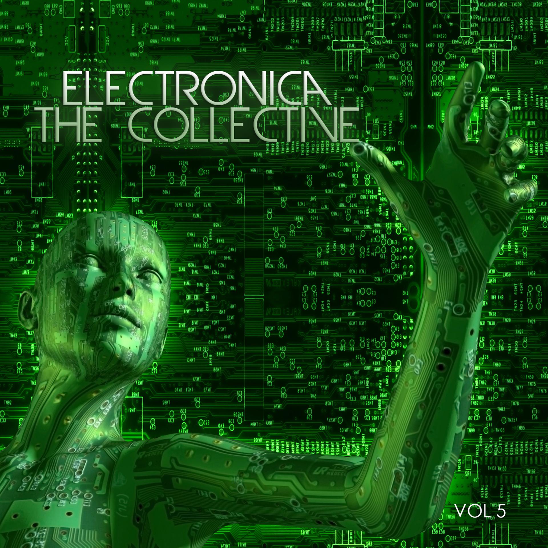 Постер альбома Electronica: The Collective, Vol. 5