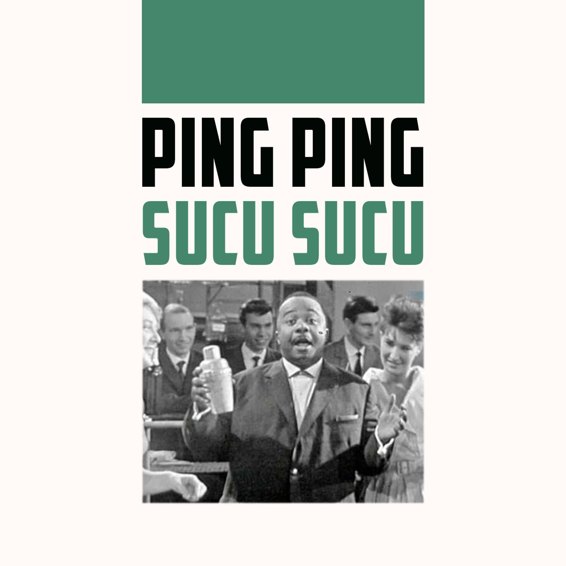 Постер альбома Sucu Sucu