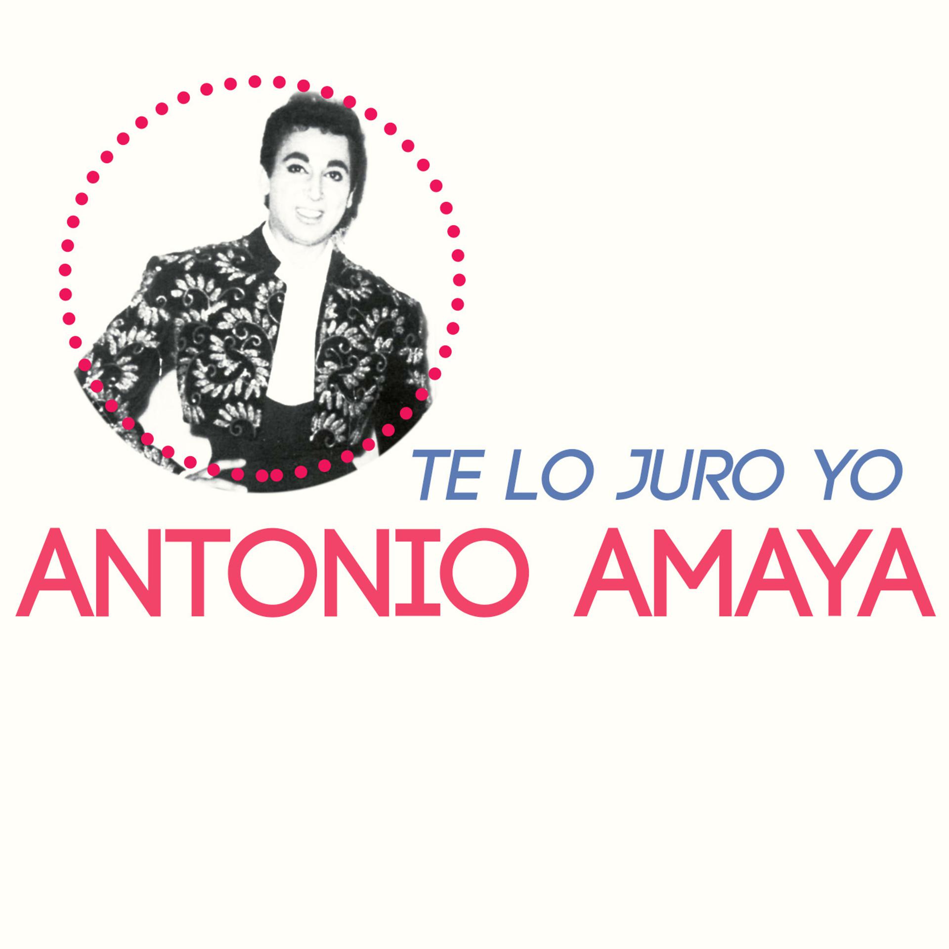 Постер альбома Te Lo Juro Yo