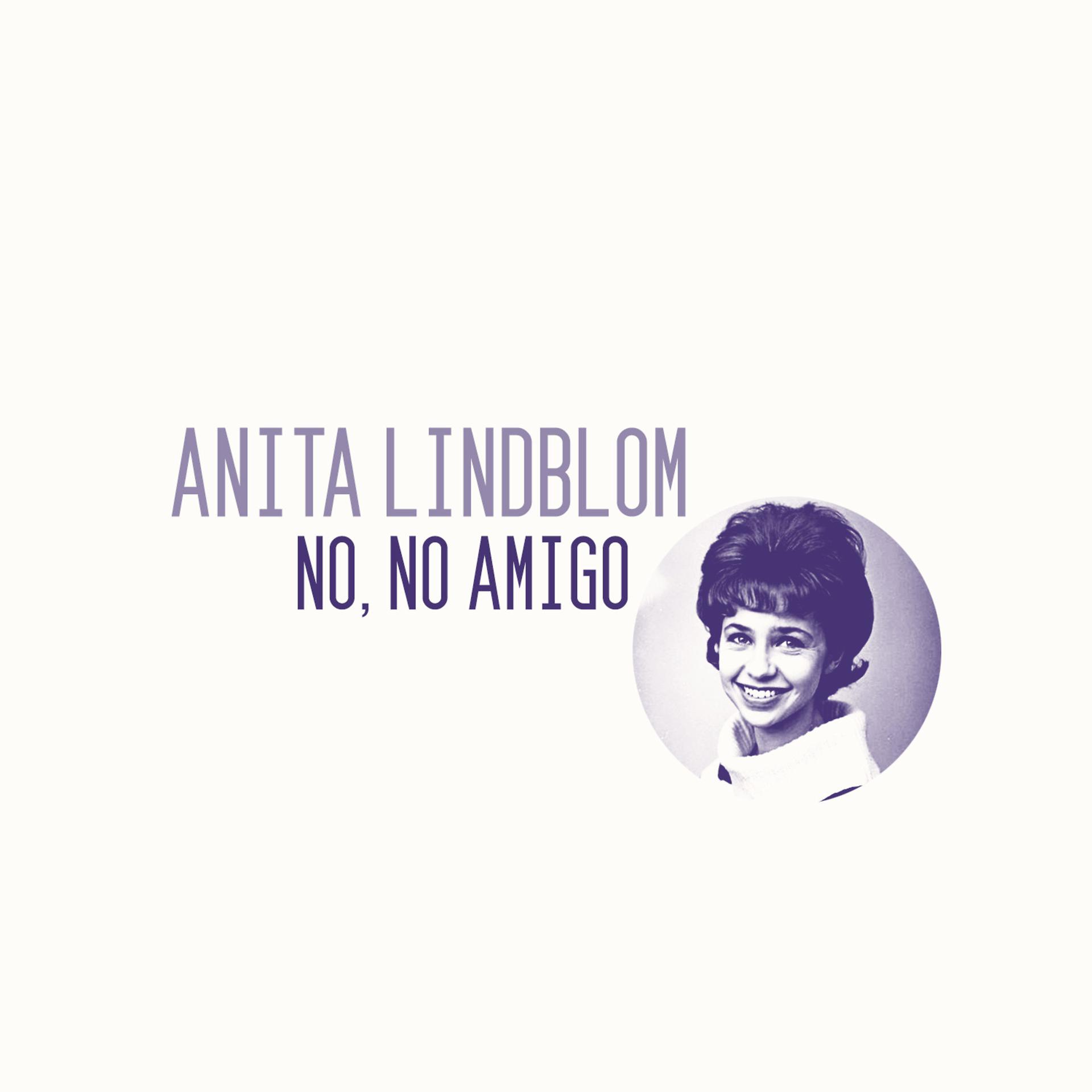 Постер альбома No, No Amigo