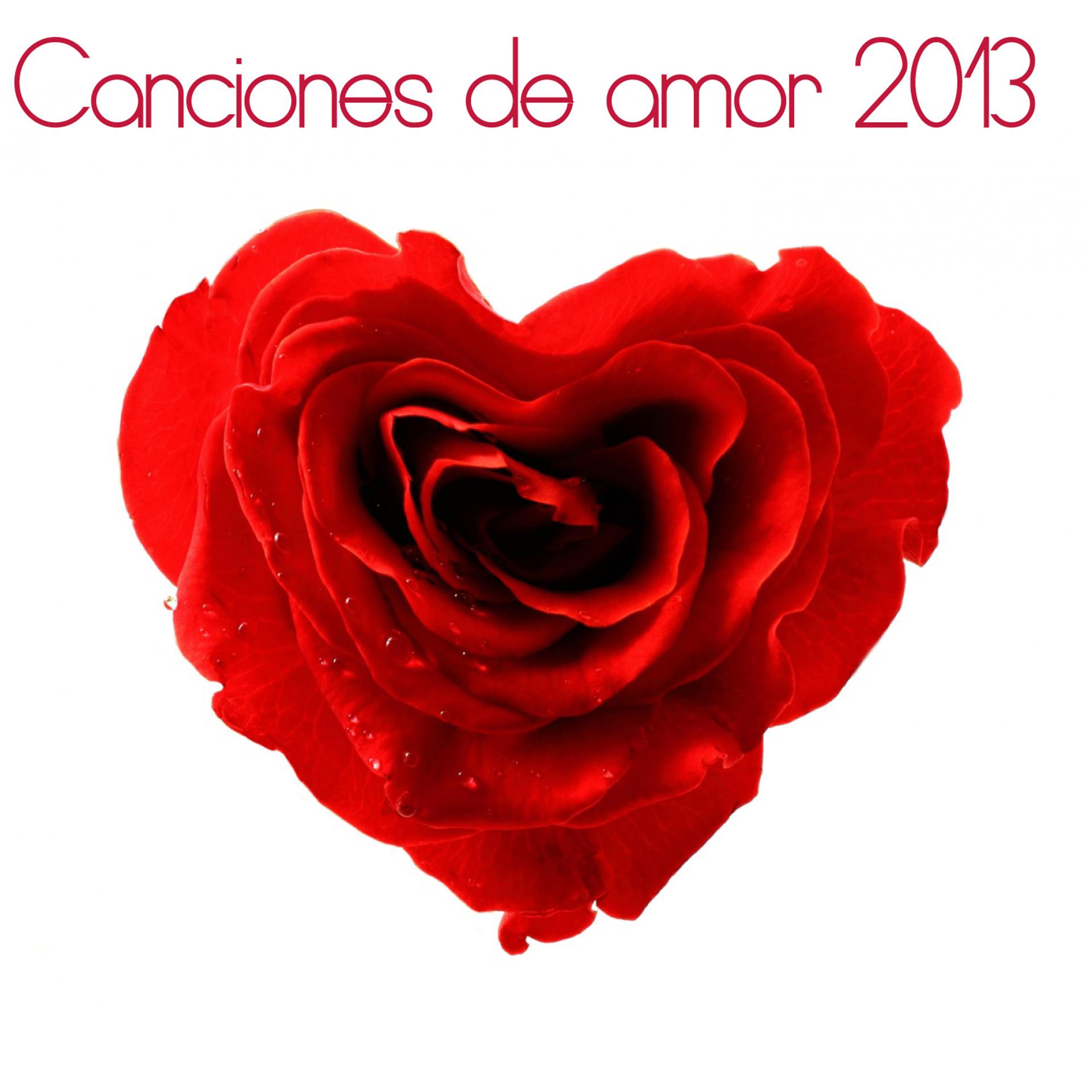 Постер альбома Canciones de Amor 2013