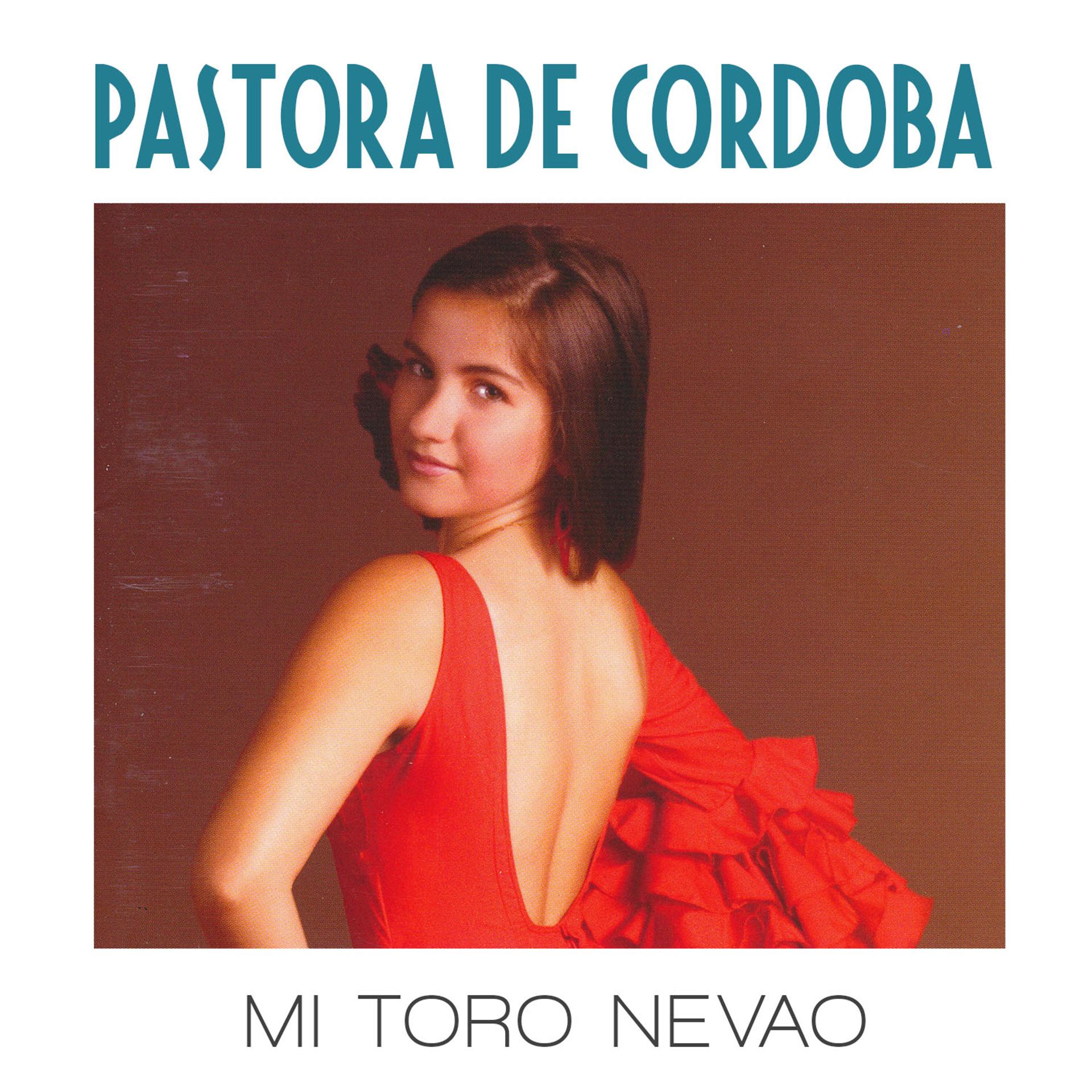 Постер альбома Mi Toro Nevao