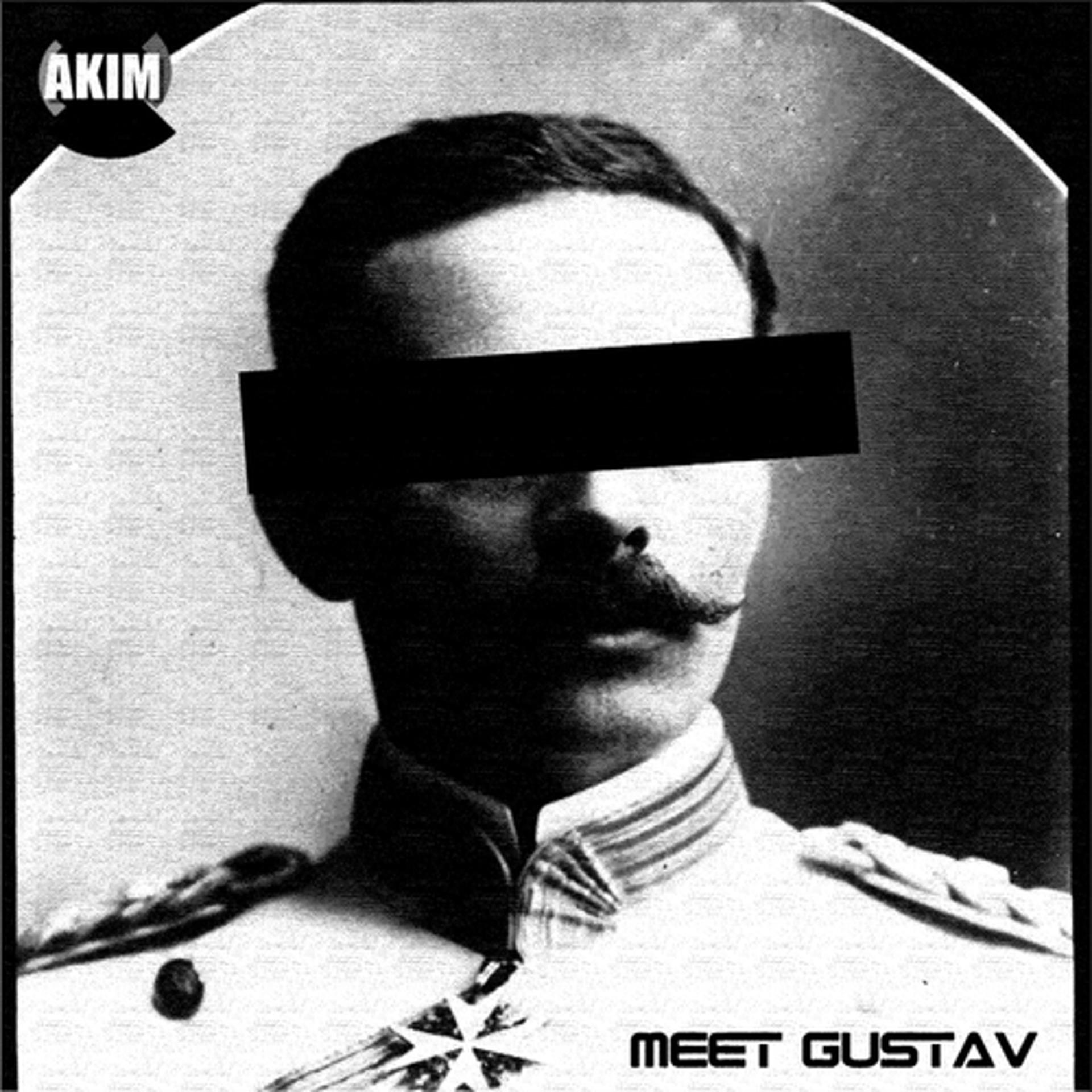 Постер альбома Meet Gustav
