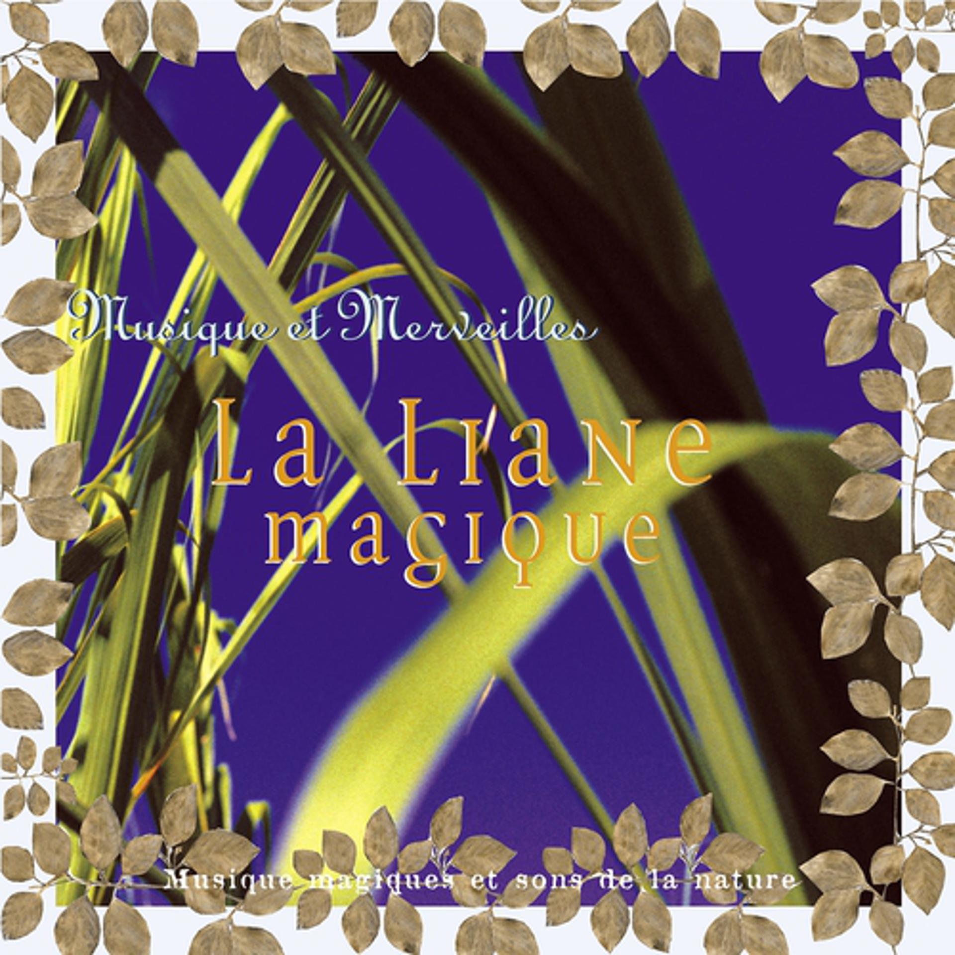 Постер альбома Musique et merveilles: la liane magique