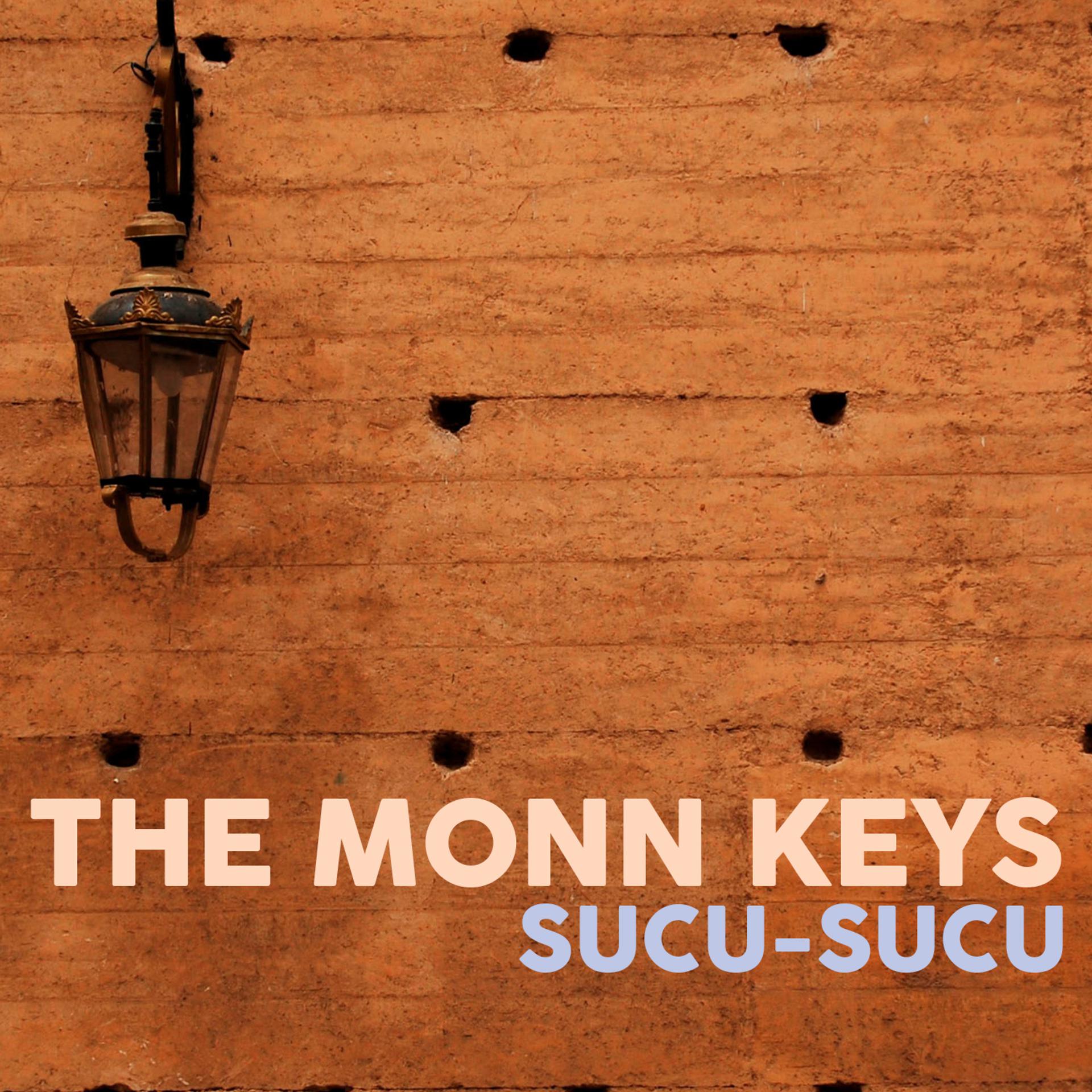 Постер альбома Sucu-Sucu