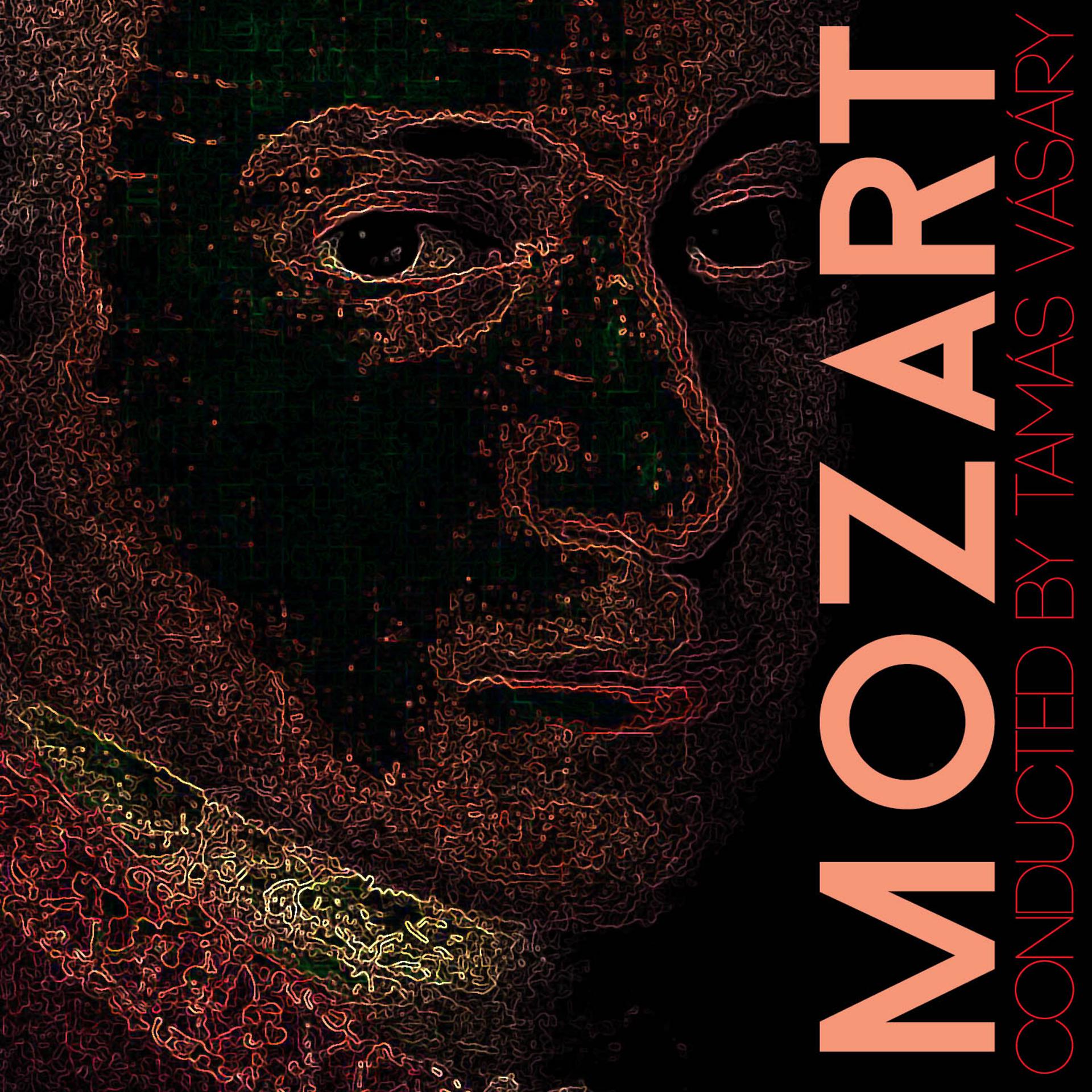 Постер альбома Mozart Conducted by Tamás Vásáry
