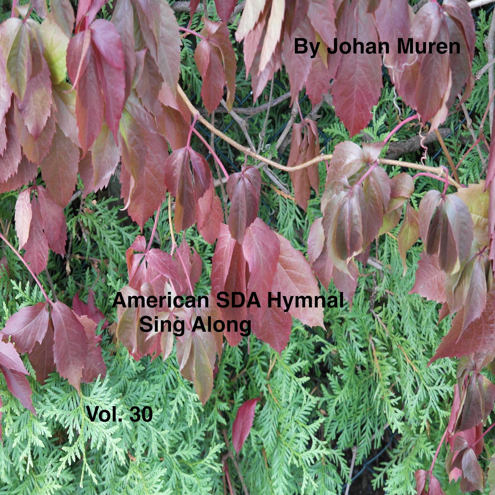 Постер альбома American Sda Hymnal Sing Along Vol.30