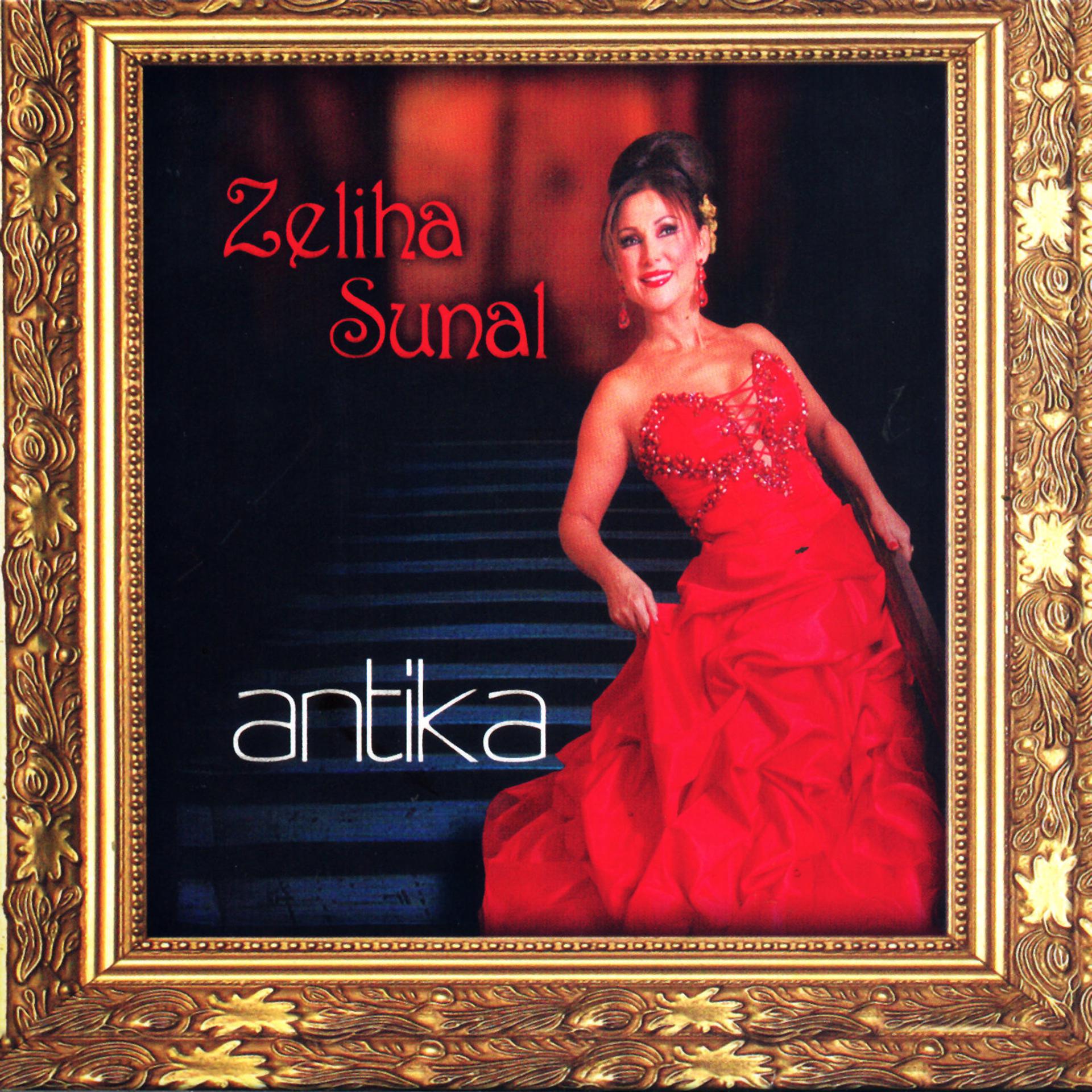 Постер альбома Antika