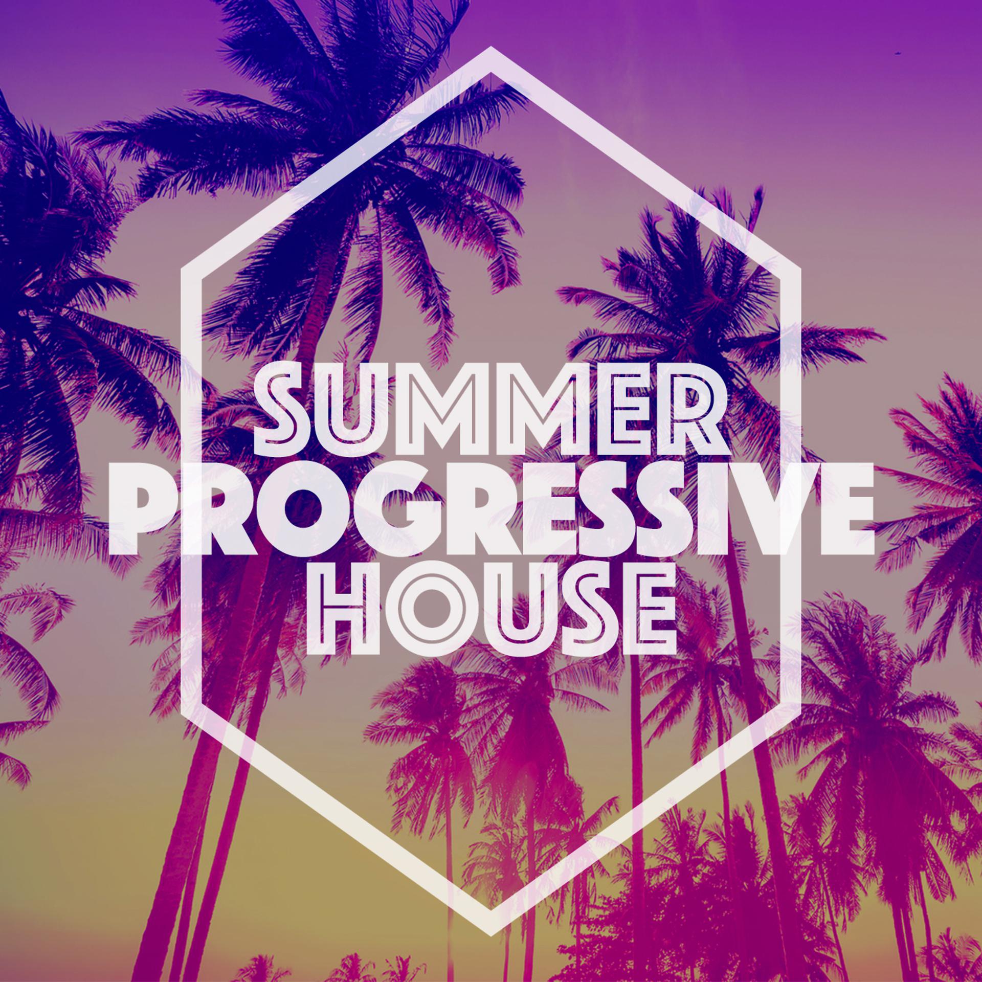 Постер альбома Summer Progressive House
