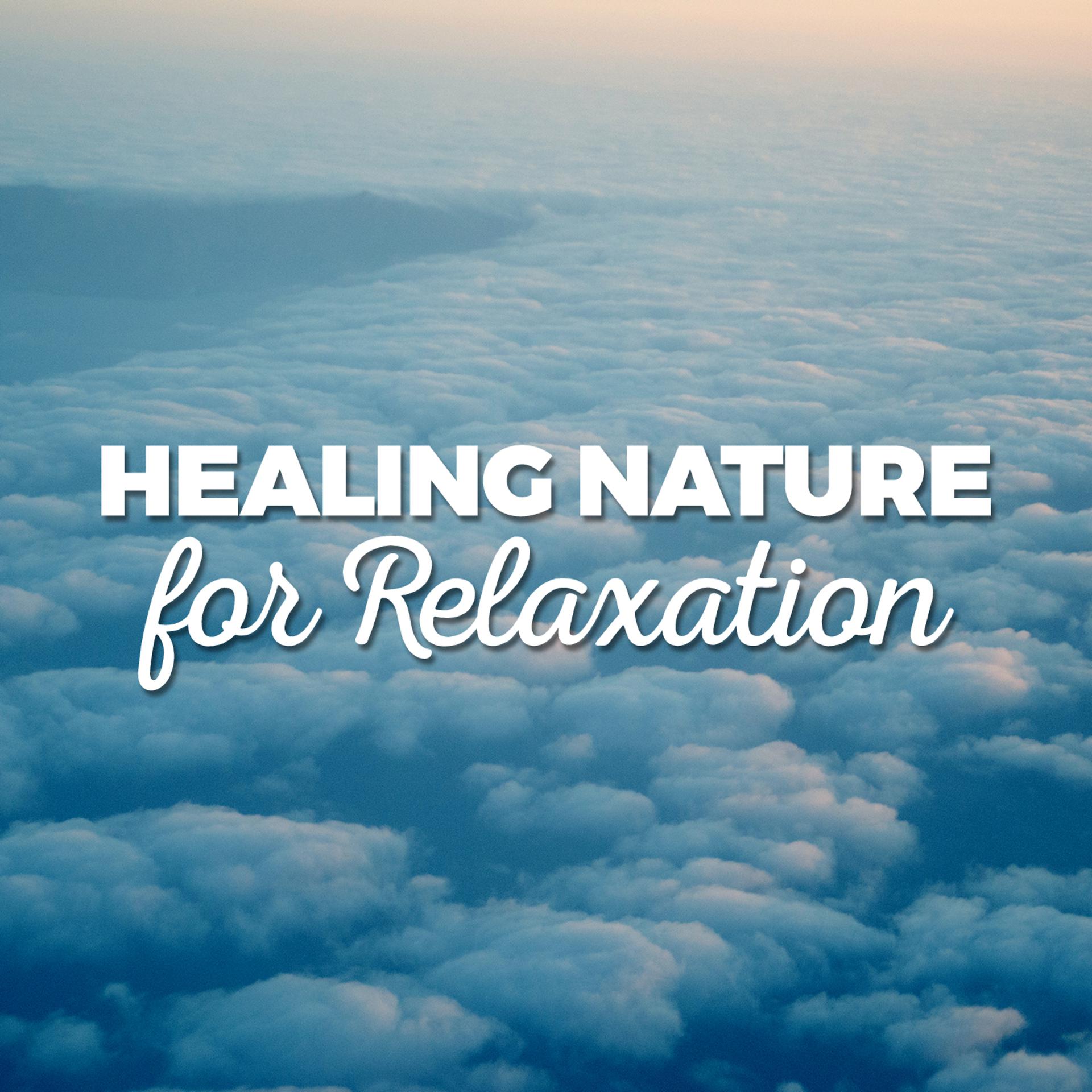 Постер альбома Healing Nature for Relaxation