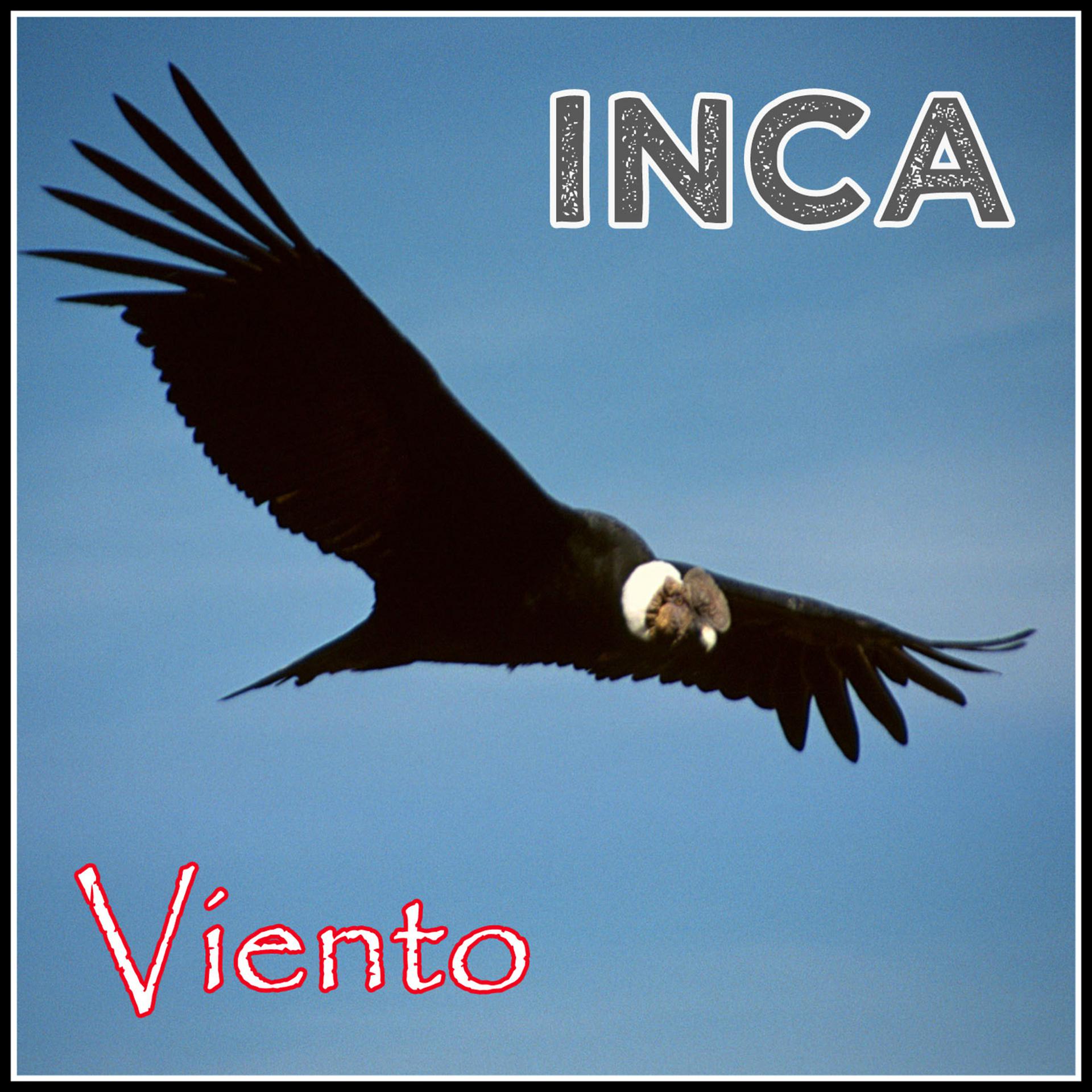 Постер альбома Viento - Inca