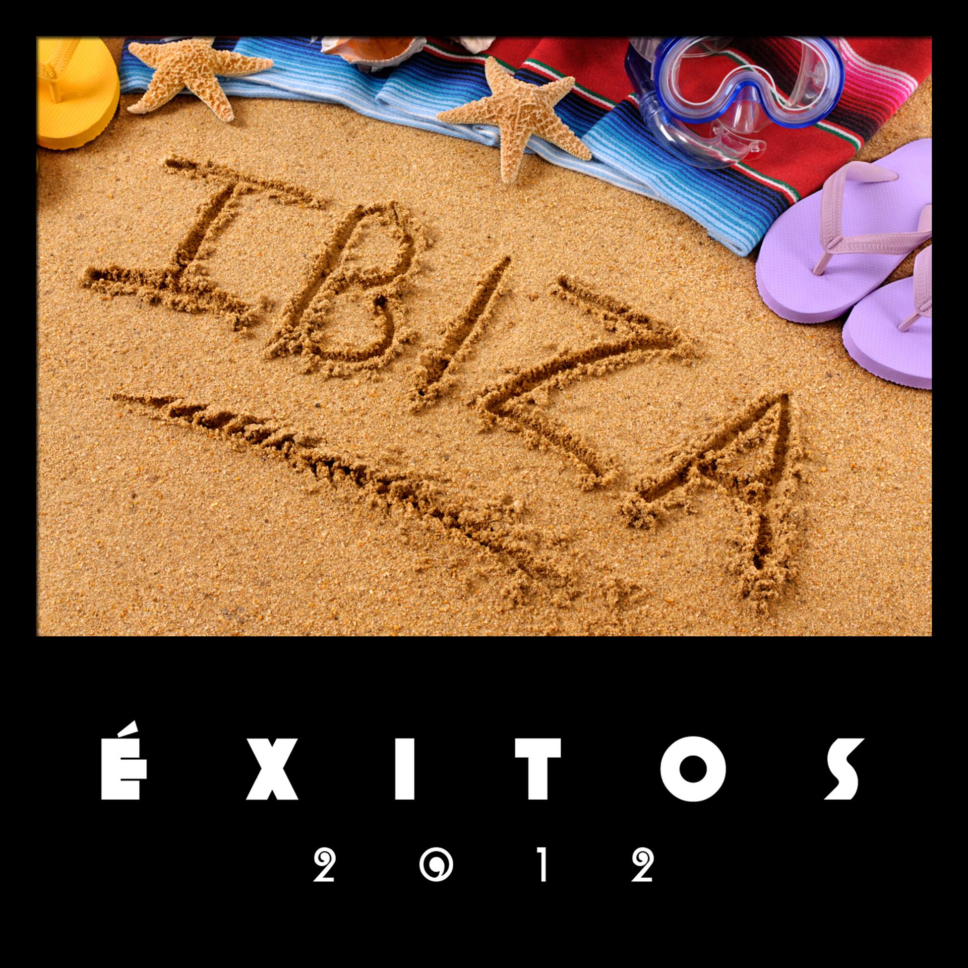 Постер альбома Ibiza Éxitos 2012