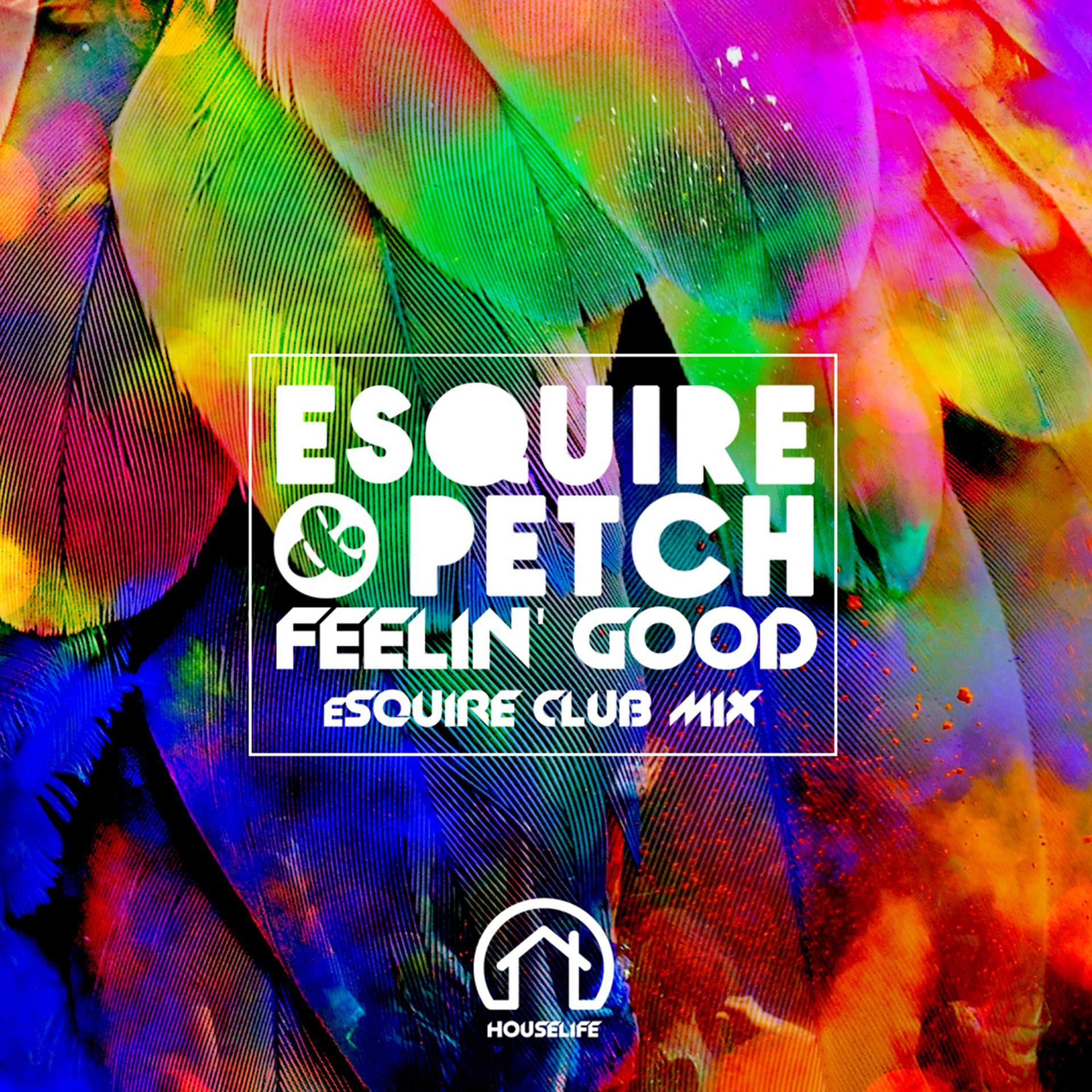 Постер альбома Feelin' Good (Esquire Remix)