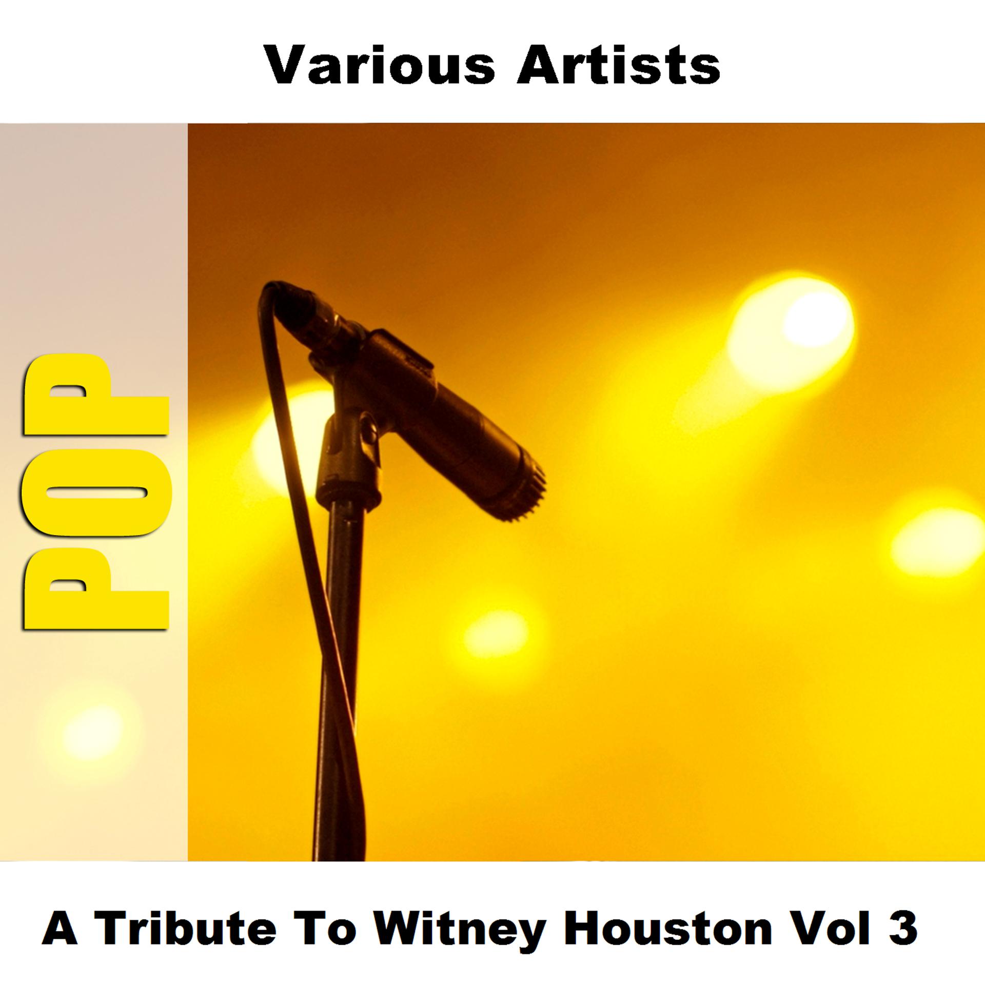 Постер альбома A Tribute To Witney Houston Vol 3