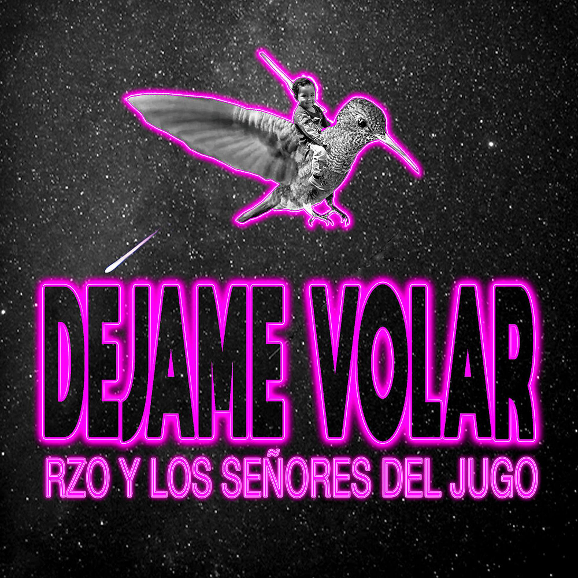 Постер альбома Déjame Volar