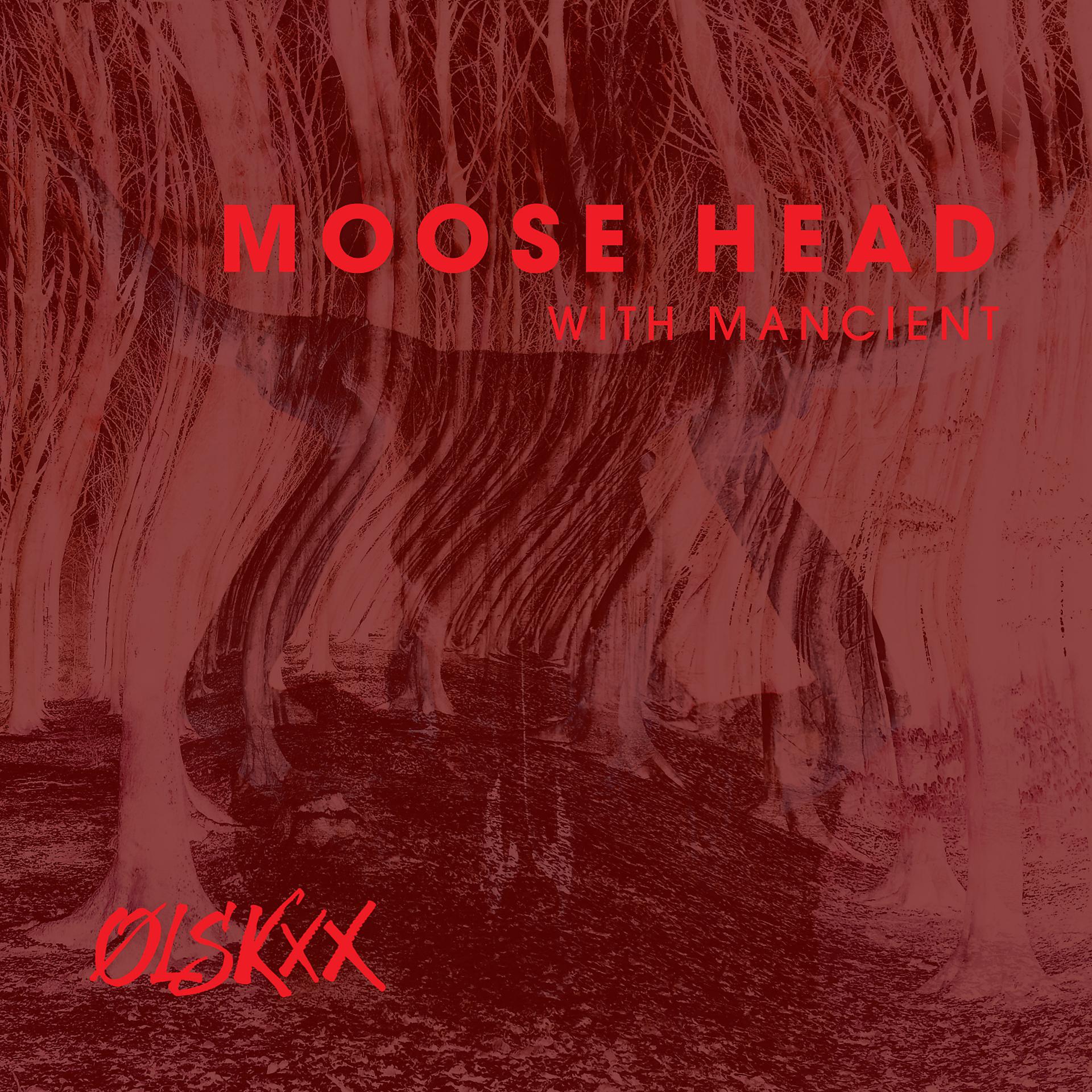 Постер альбома Moose Head
