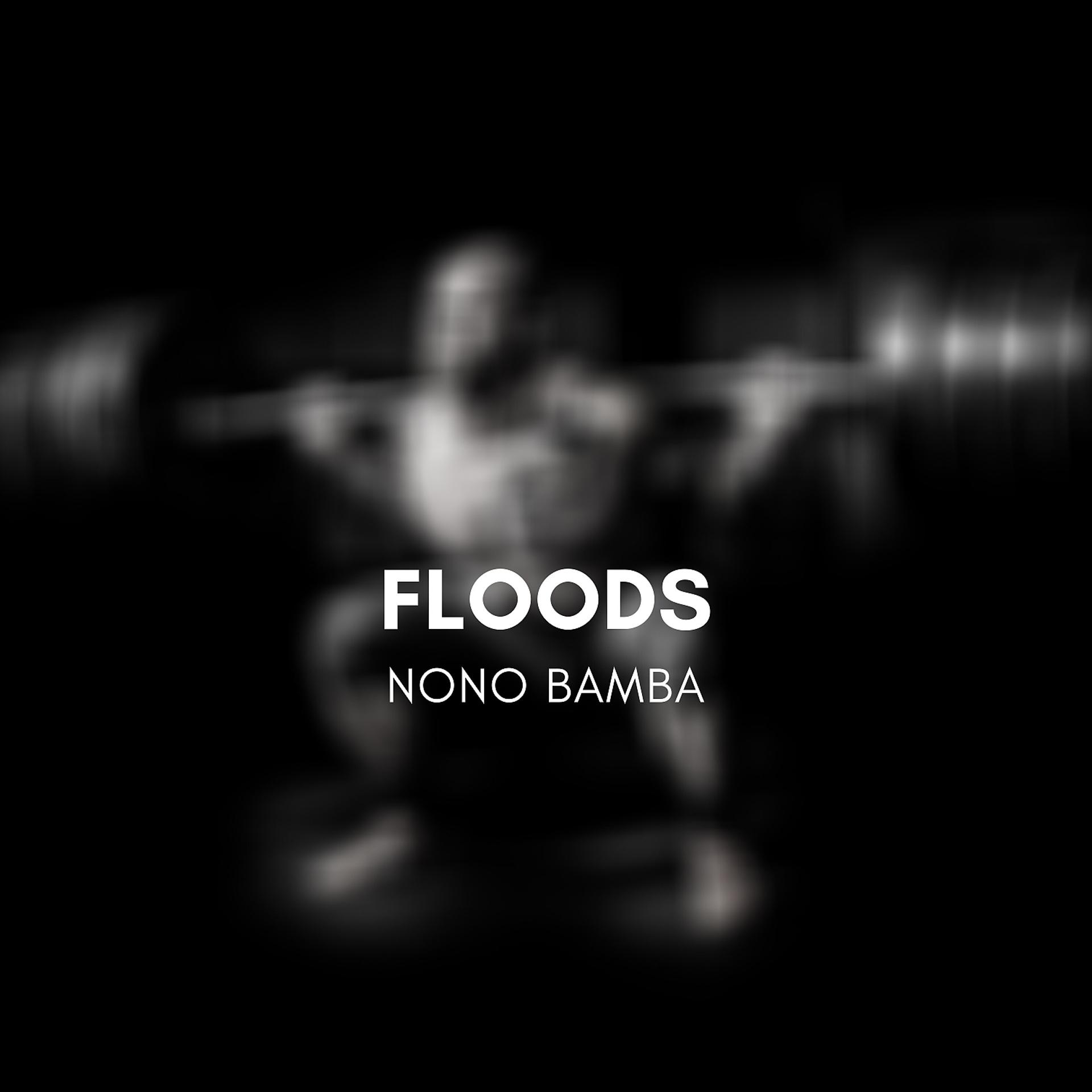 Постер альбома Floods