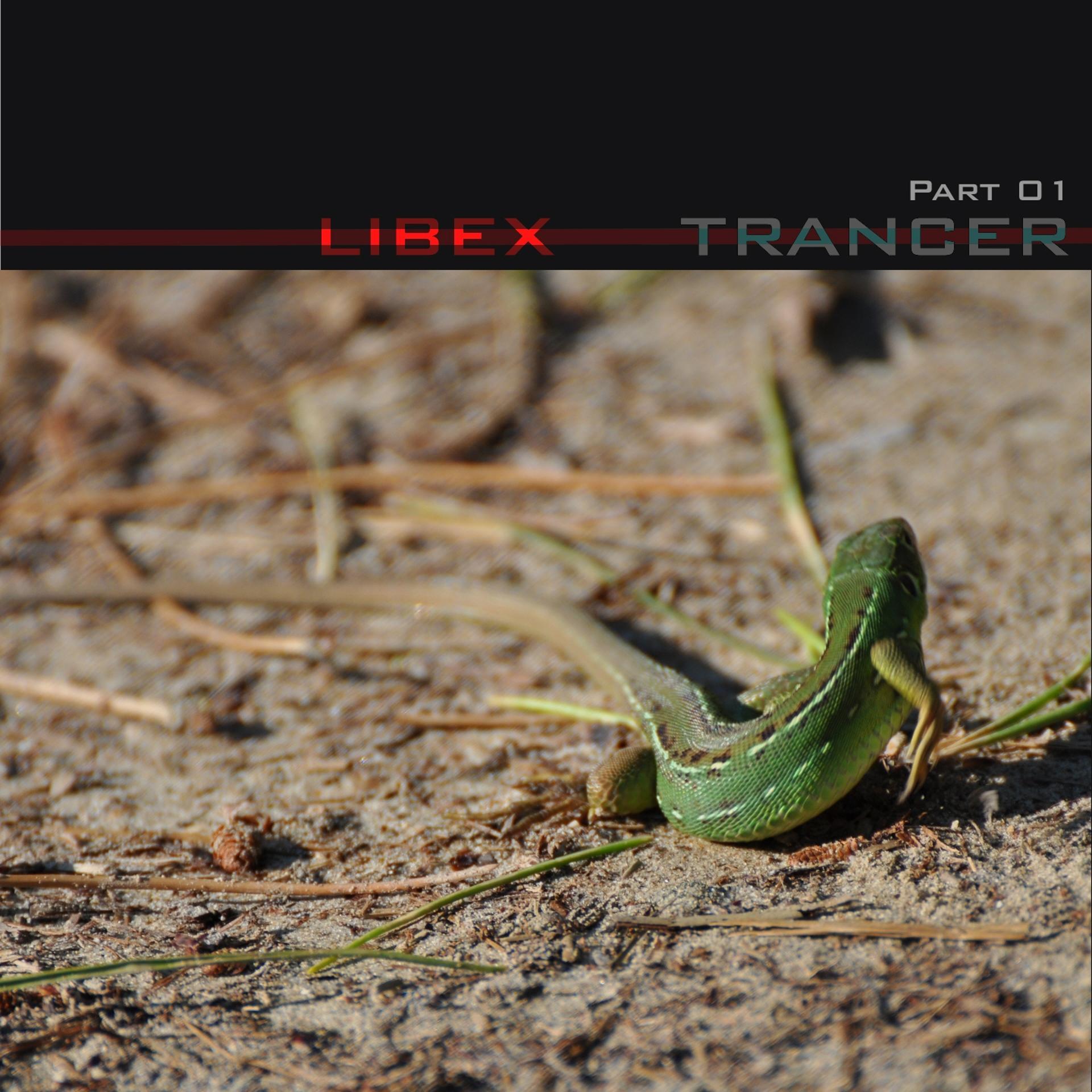 Постер альбома Trancer, Vol. 1
