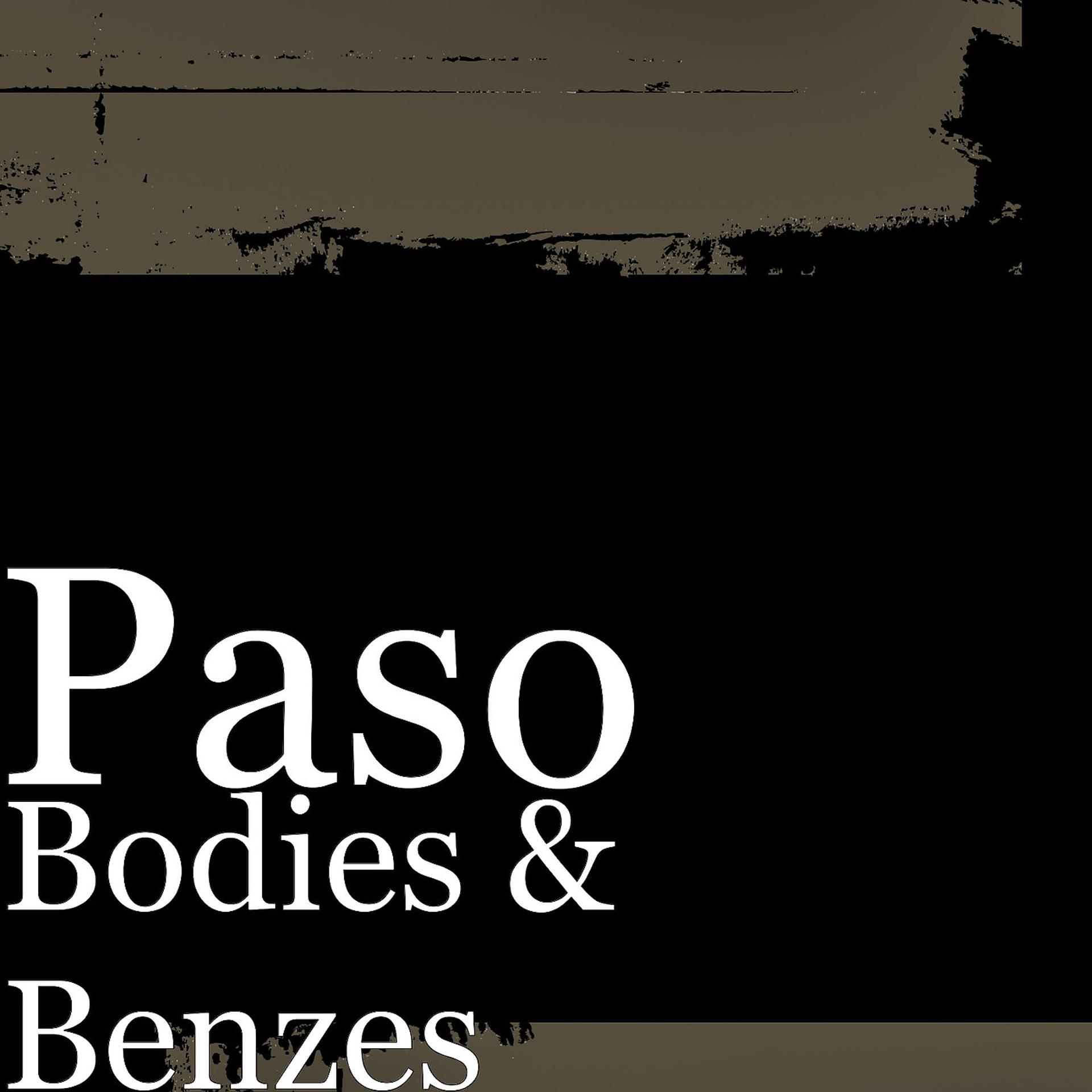 Постер альбома Bodies & Benzes