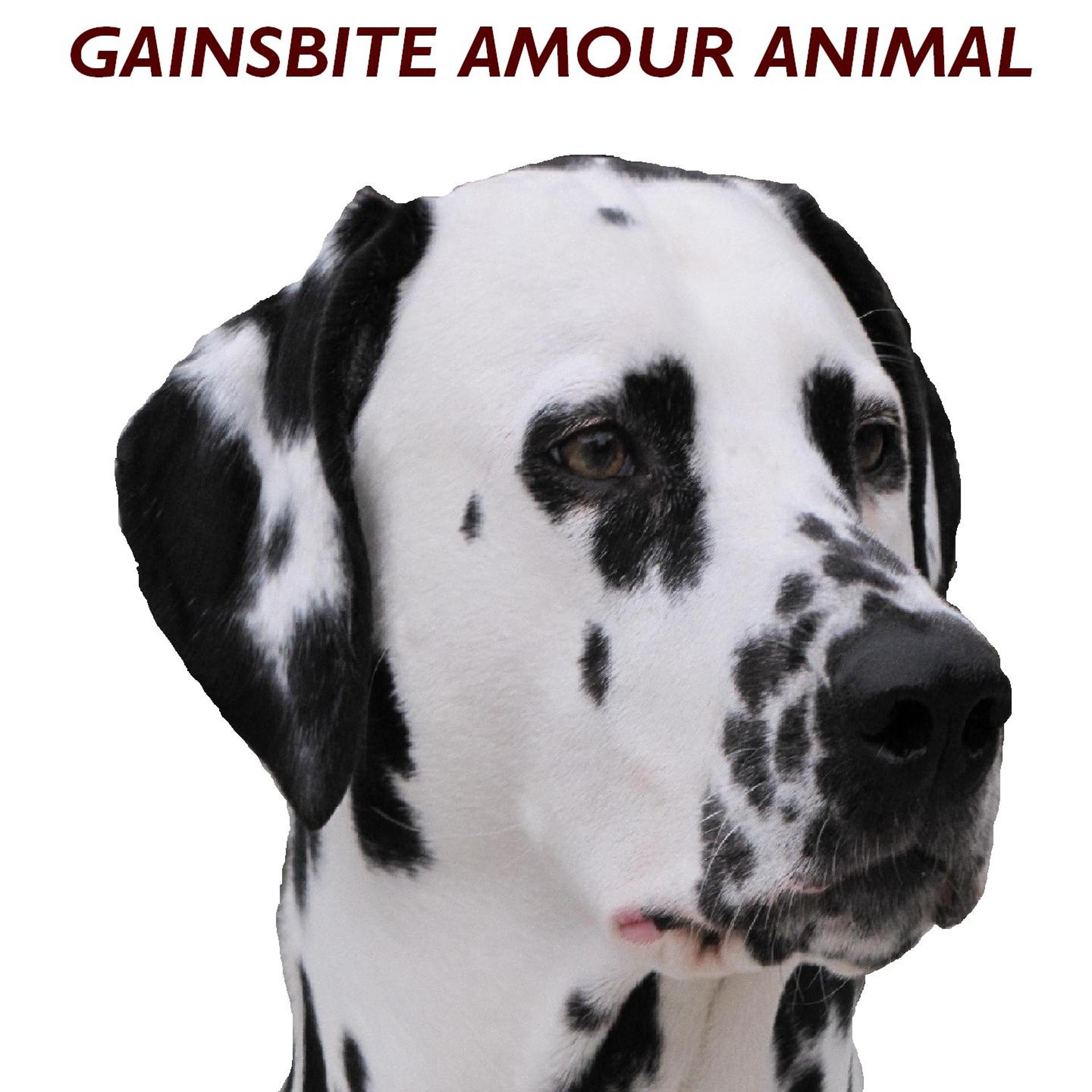Постер альбома Amour animal