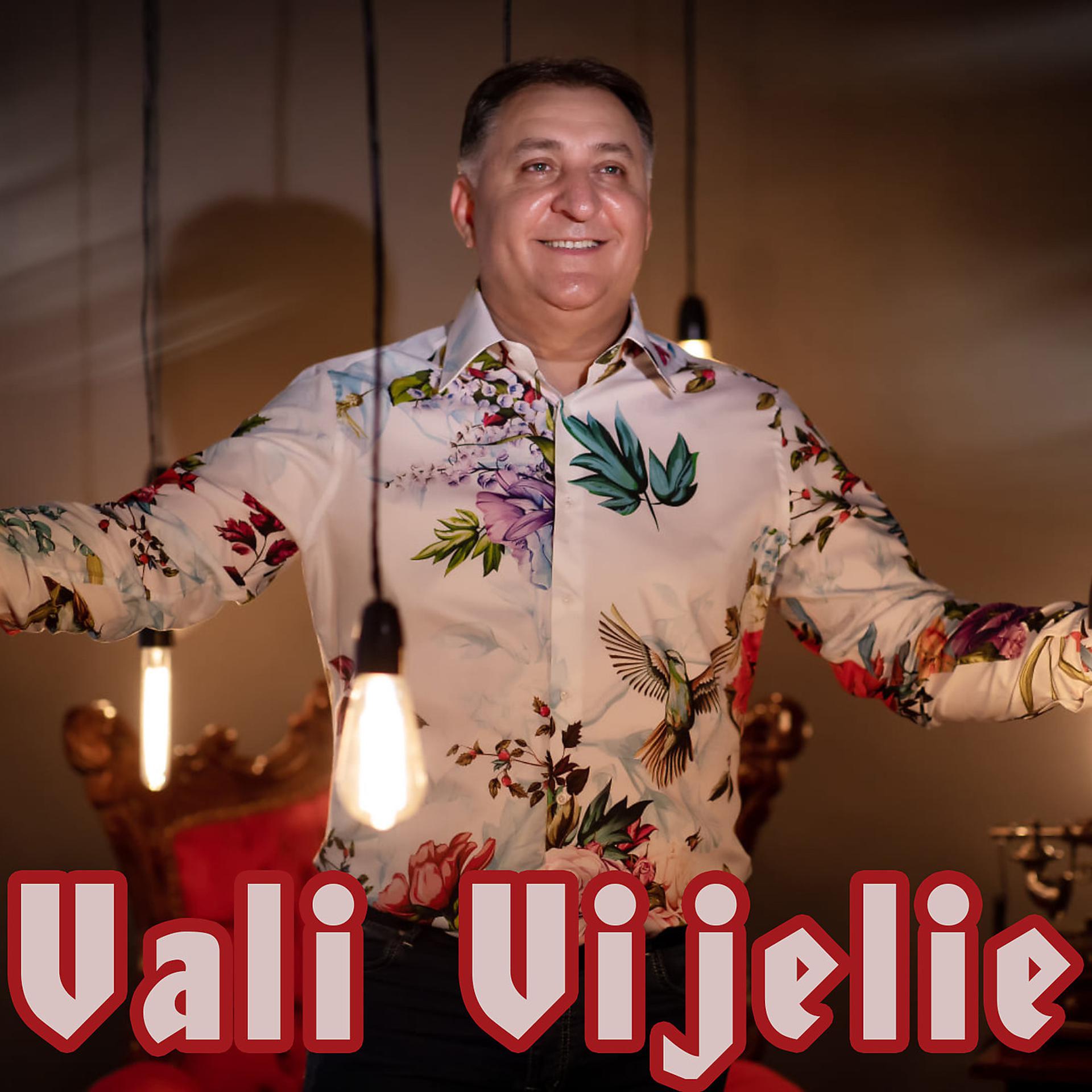 Постер альбома Vali Vijelie