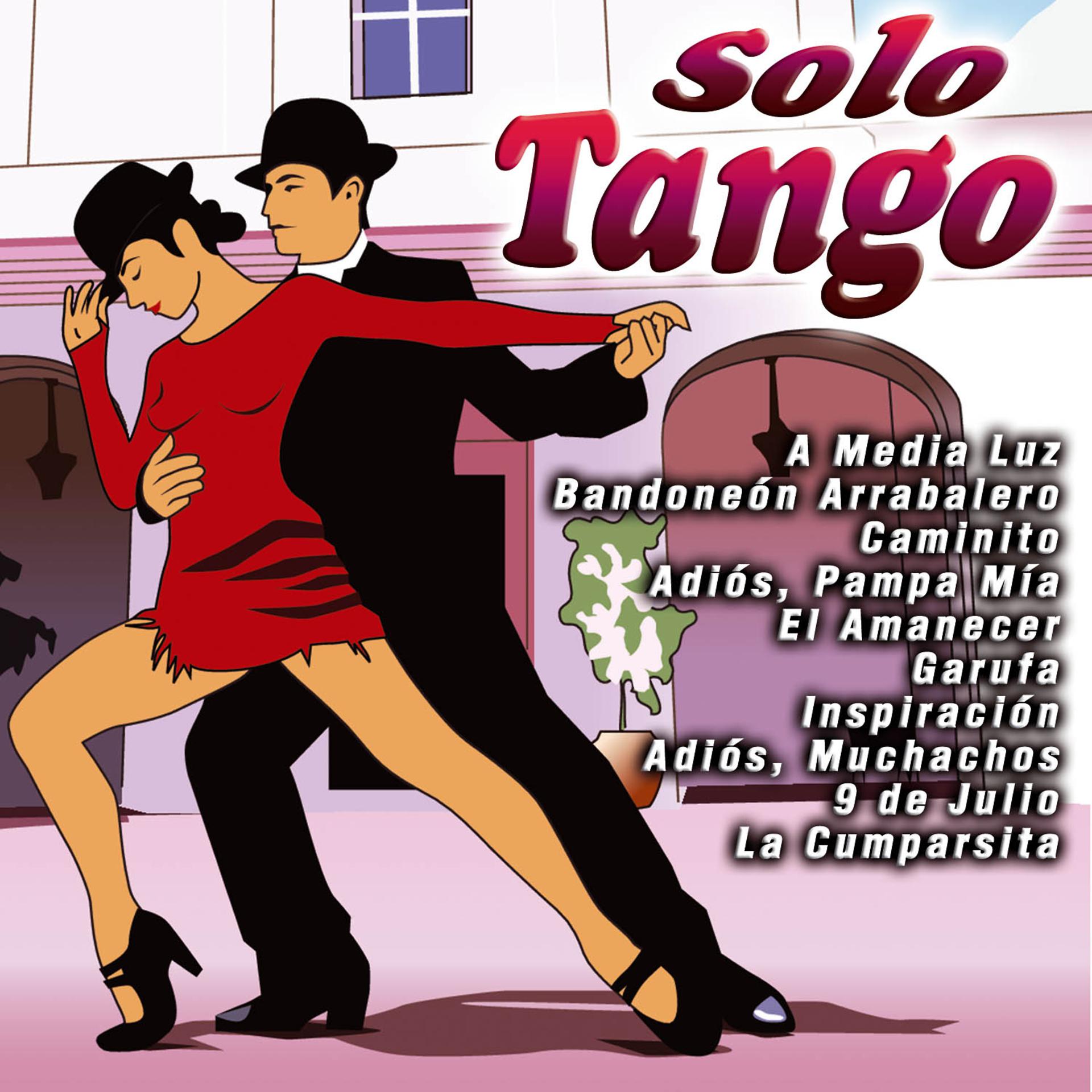 Постер альбома Solo Tango
