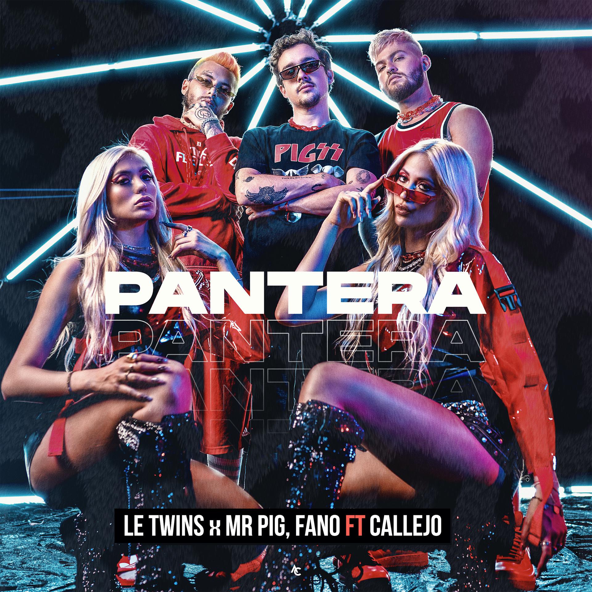 Постер альбома PANTERA