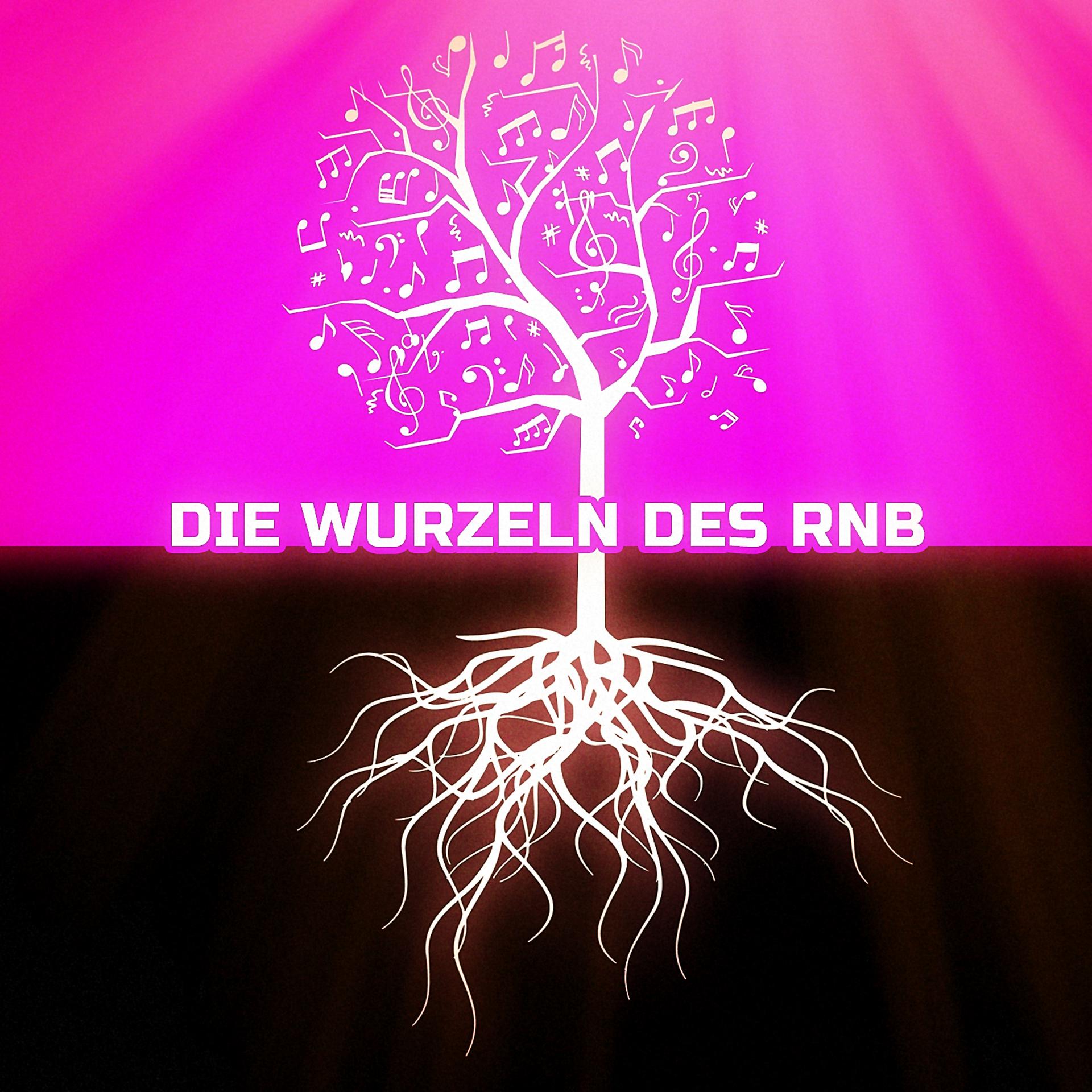 Постер альбома Die Wurzeln des RnB
