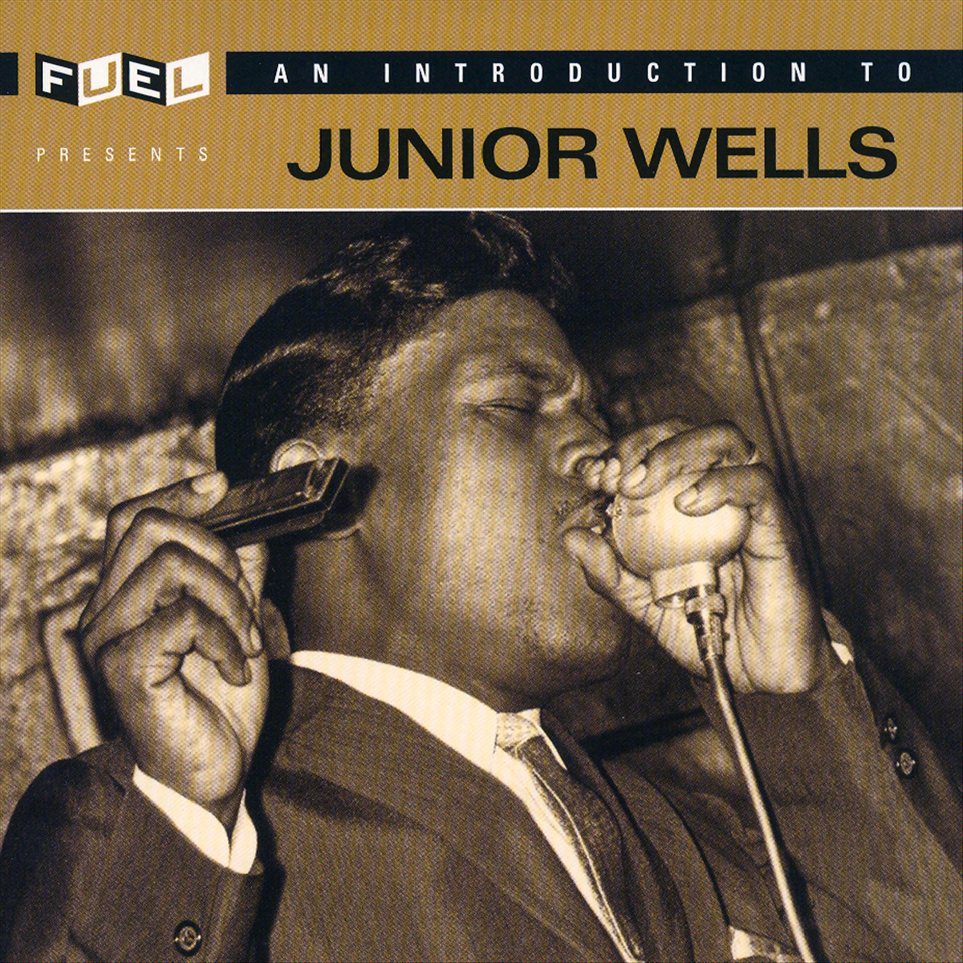 Постер альбома An Introduction To Junior Wells