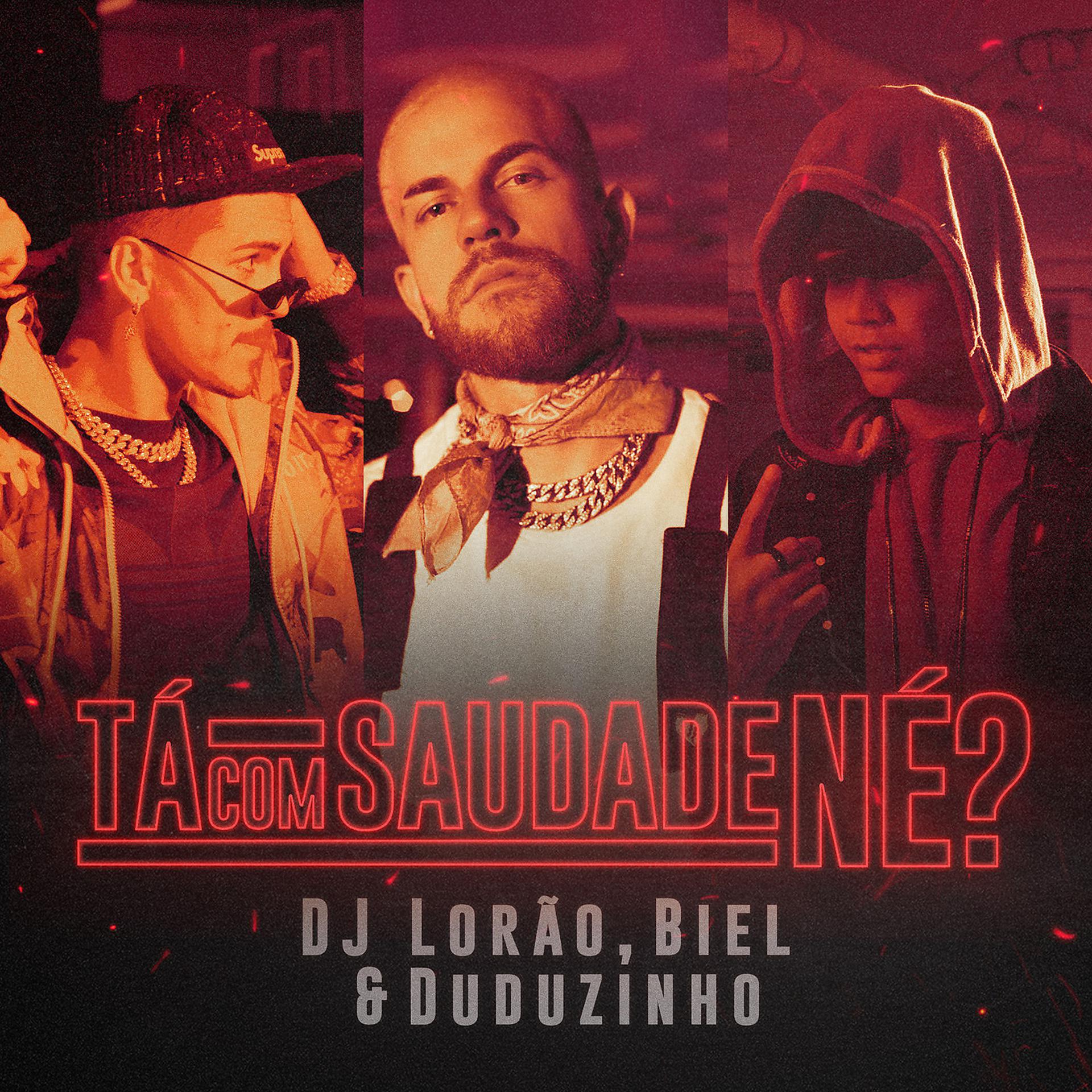 Постер альбома Ta Com Saudade Né?