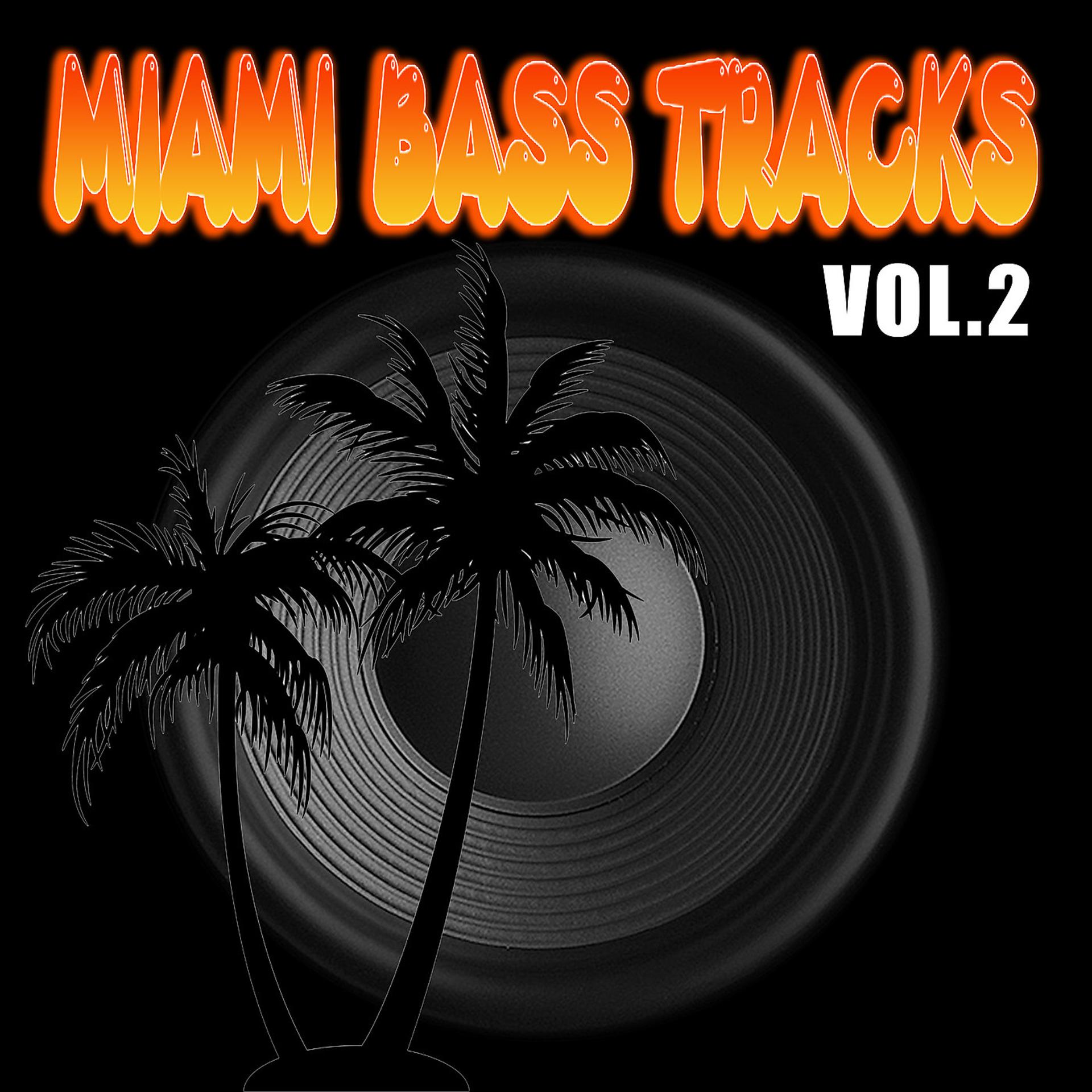 Постер альбома Miami Bass Tracks Vol.2