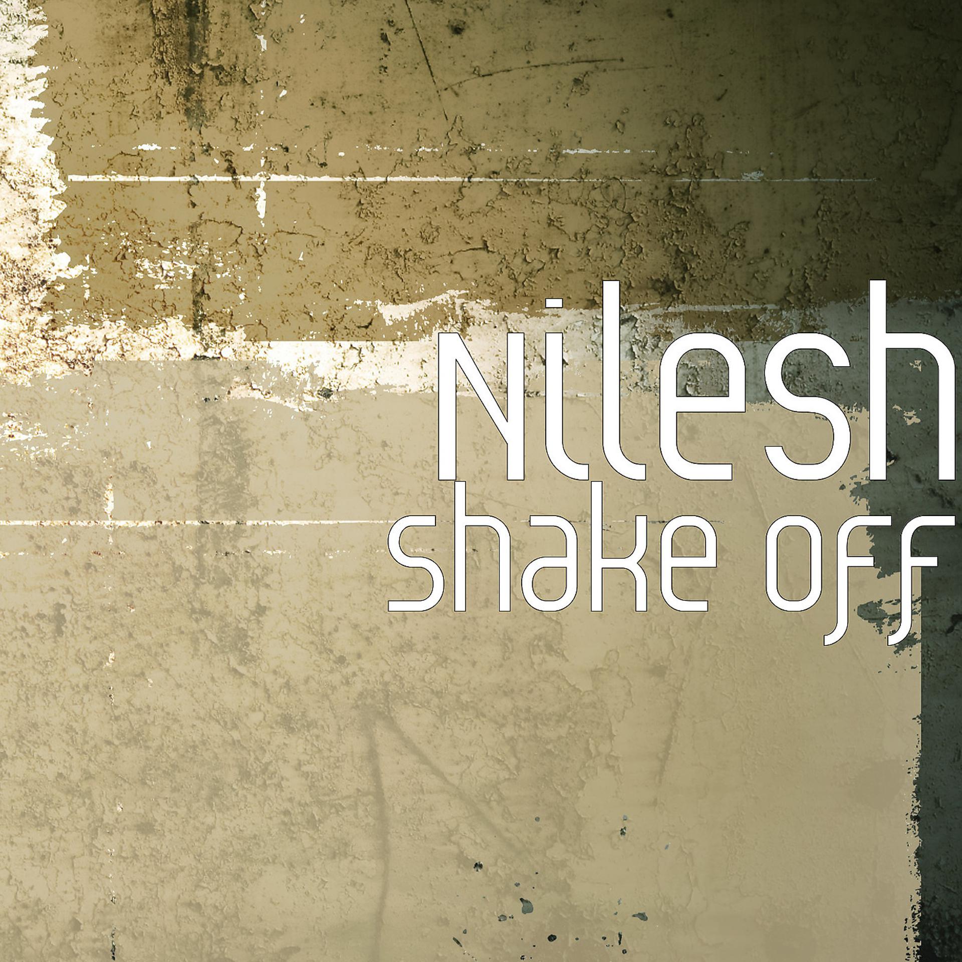 Постер альбома Shake Off