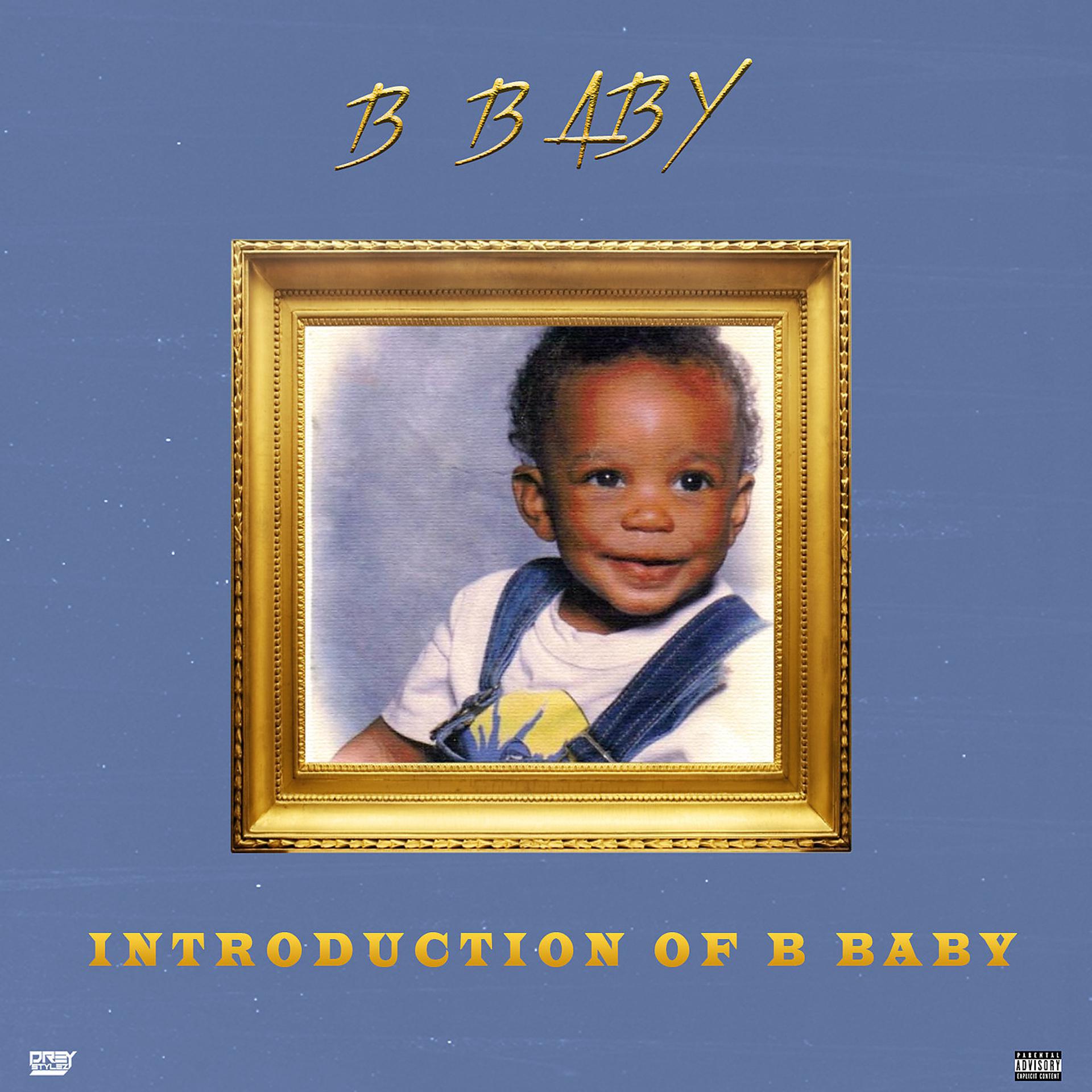Постер альбома Introduction of B Baby