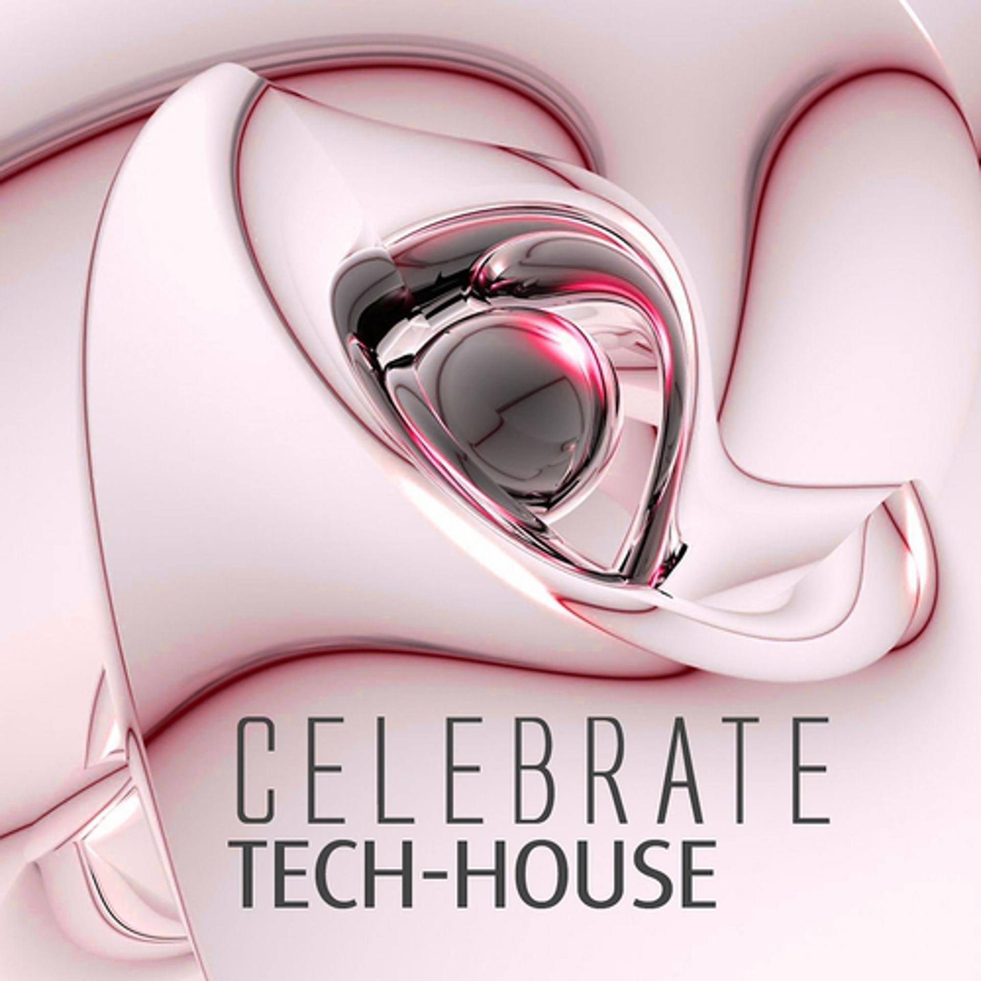 Постер альбома Celebrate Tech-House Vol. 5 (A Tech-House Christmas Experience)