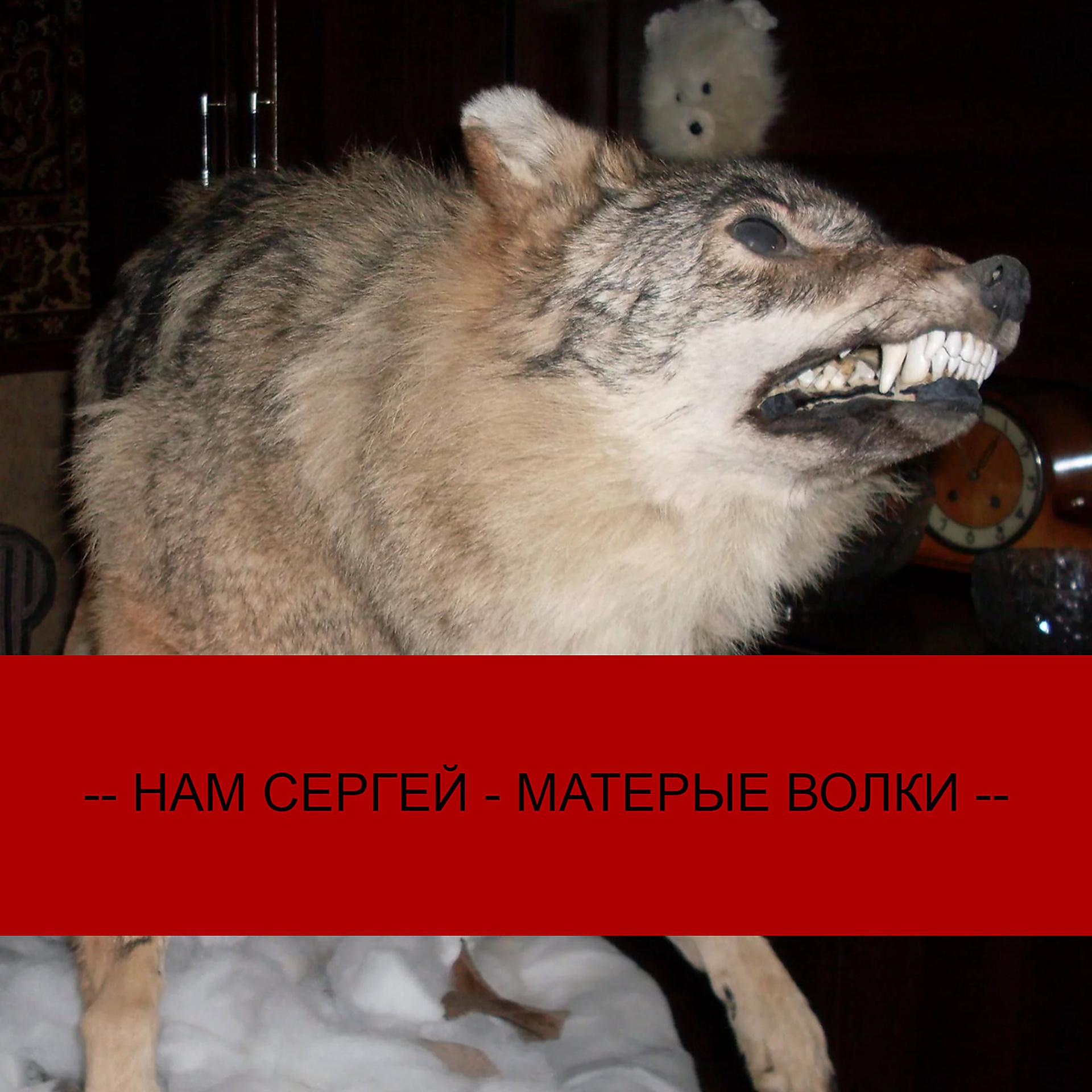 Постер альбома Матёрые Волки
