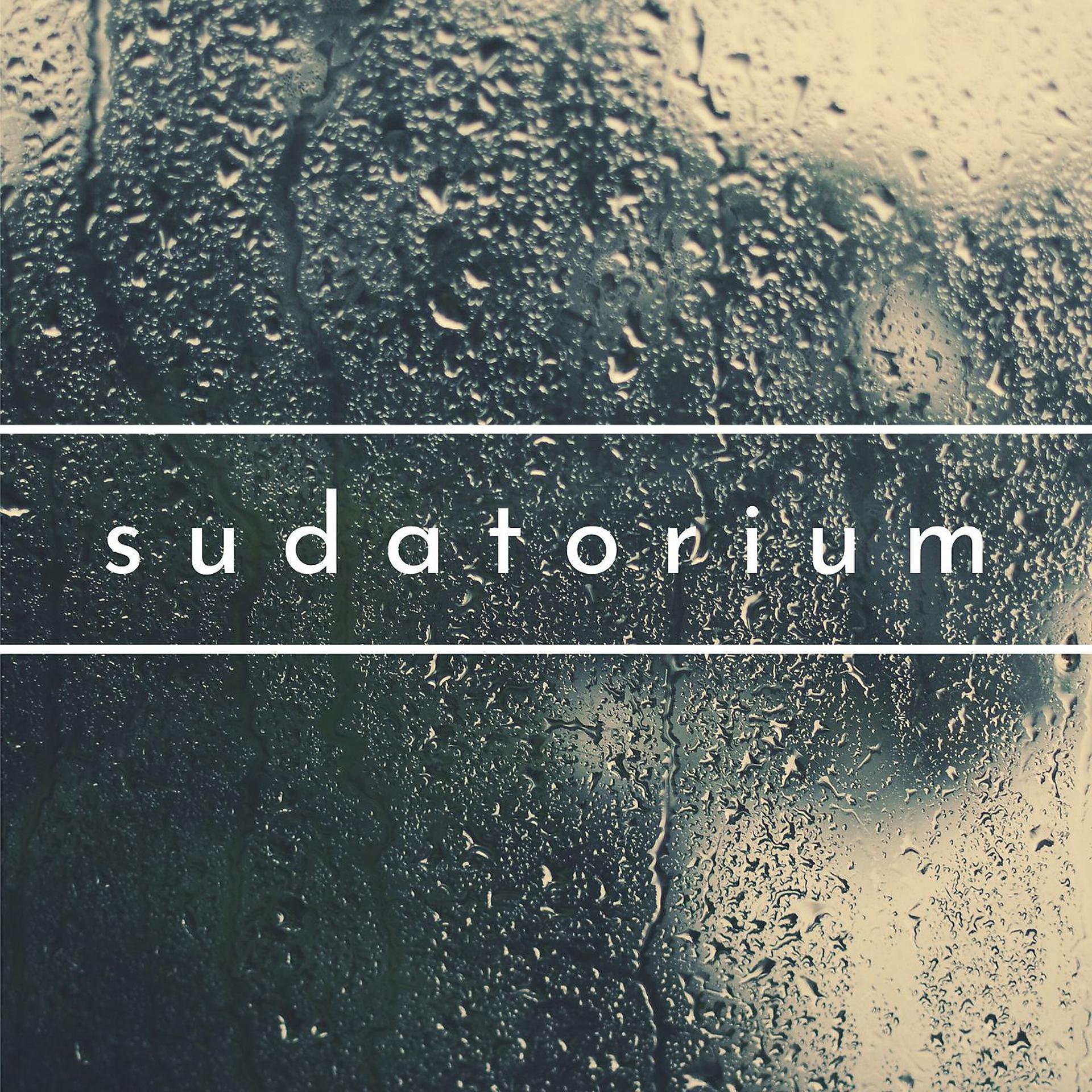 Постер альбома Sudatorium