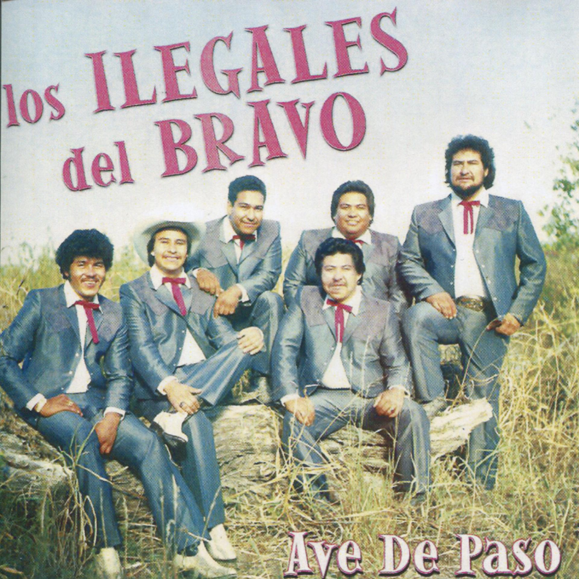 Постер альбома Ave de Paso