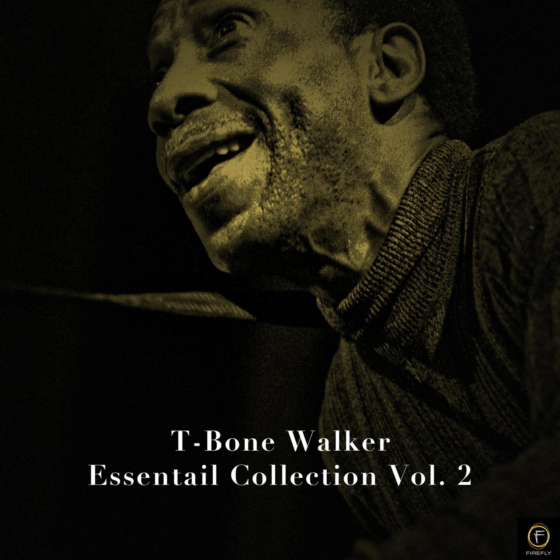 Постер альбома T-Bone Walker, Essentail Collection Vol. 2
