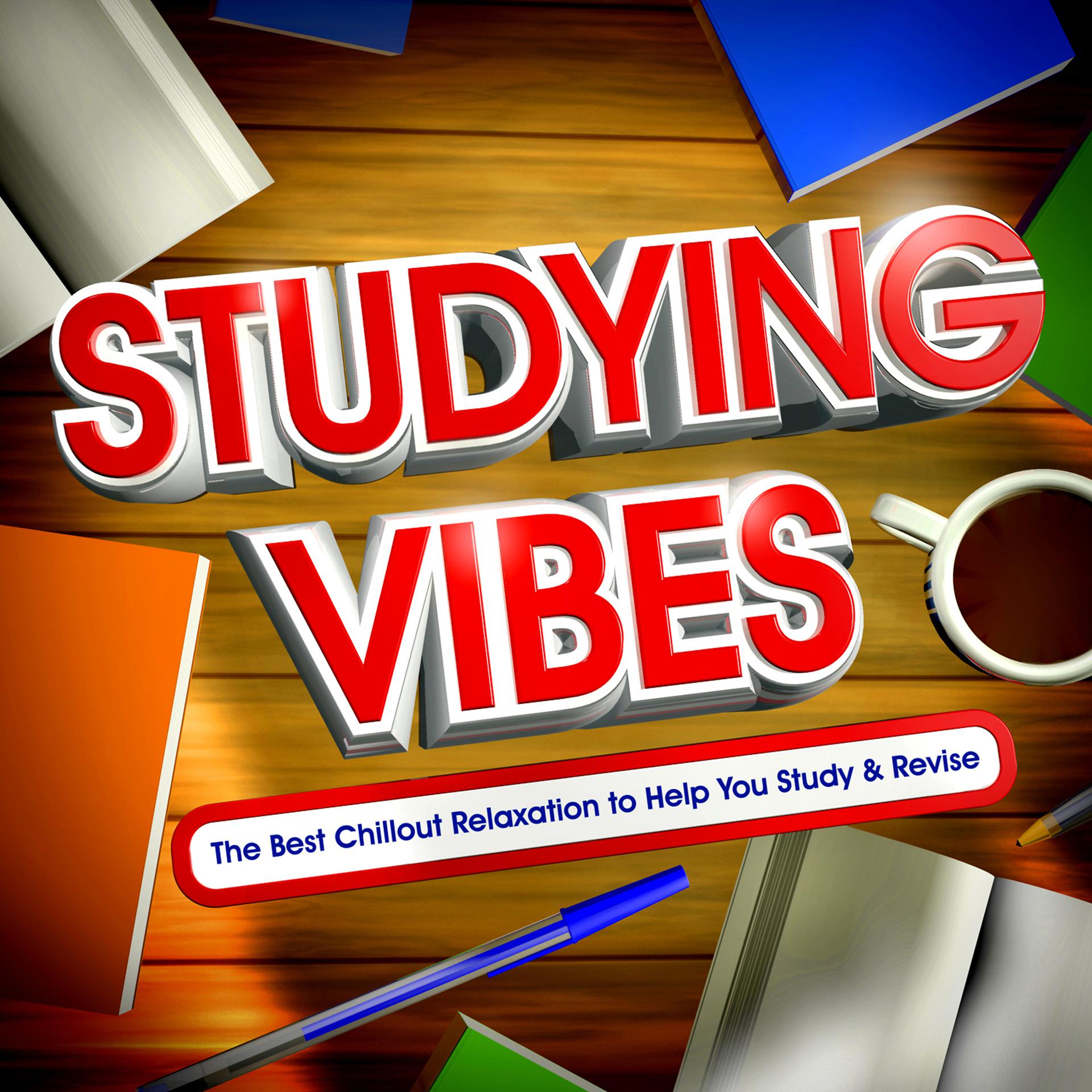 Постер альбома Studying Vibes - The Best Chillout Relaxation to Help You Study & Revise