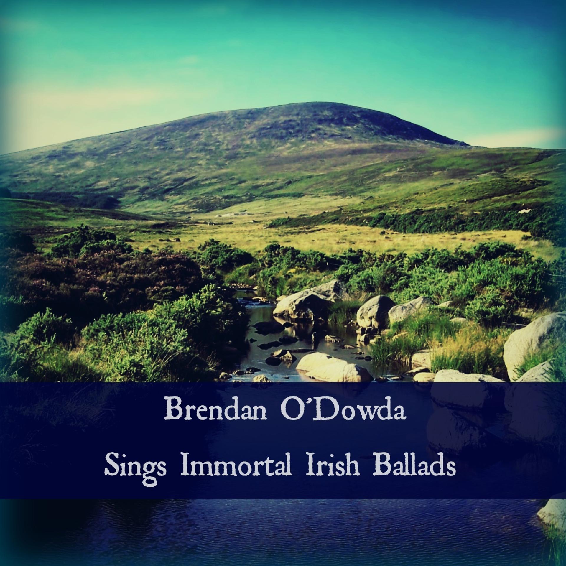Постер альбома Sings Immortal Irish Ballads