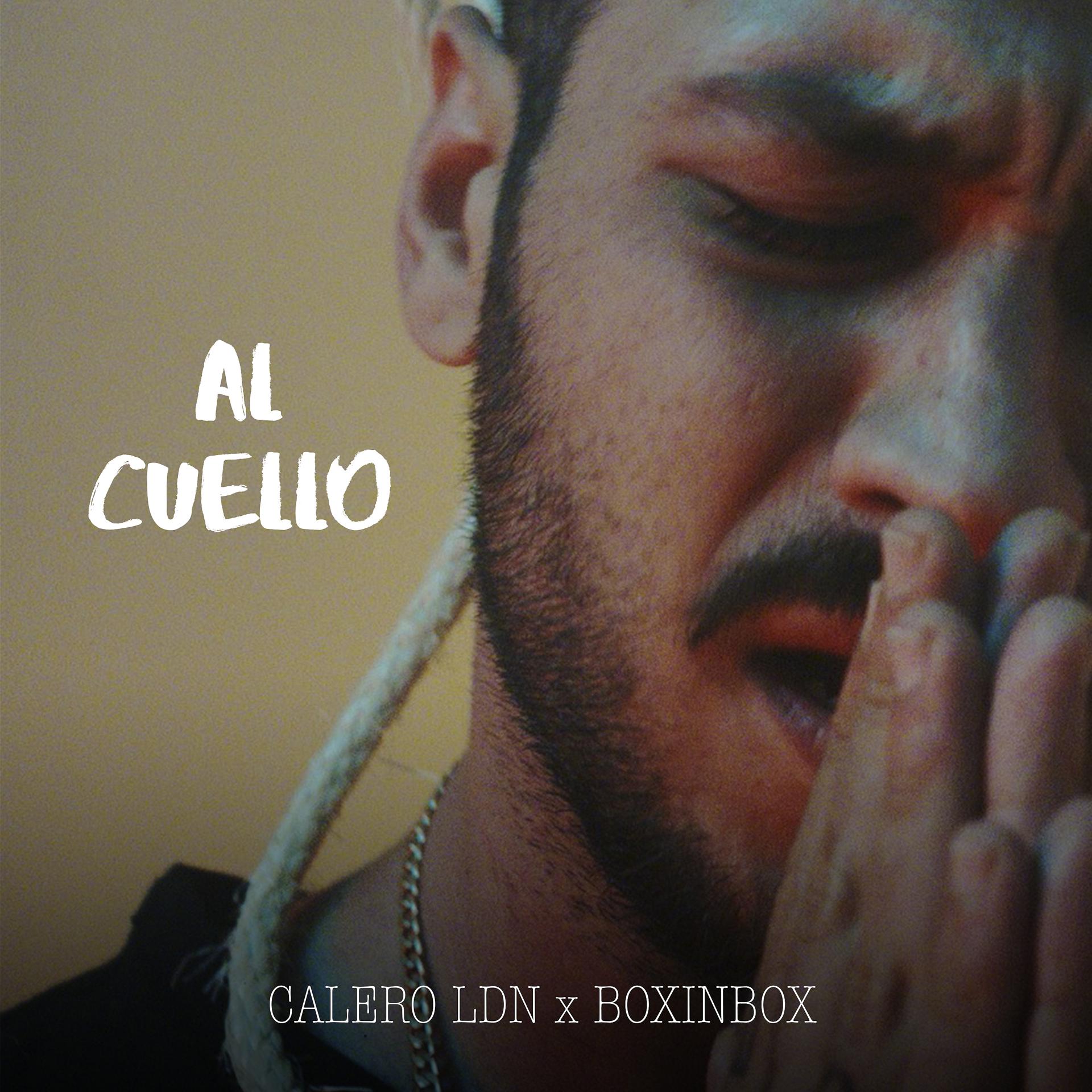 Постер альбома Al Cuello (Iker&Calero Vol. XI)